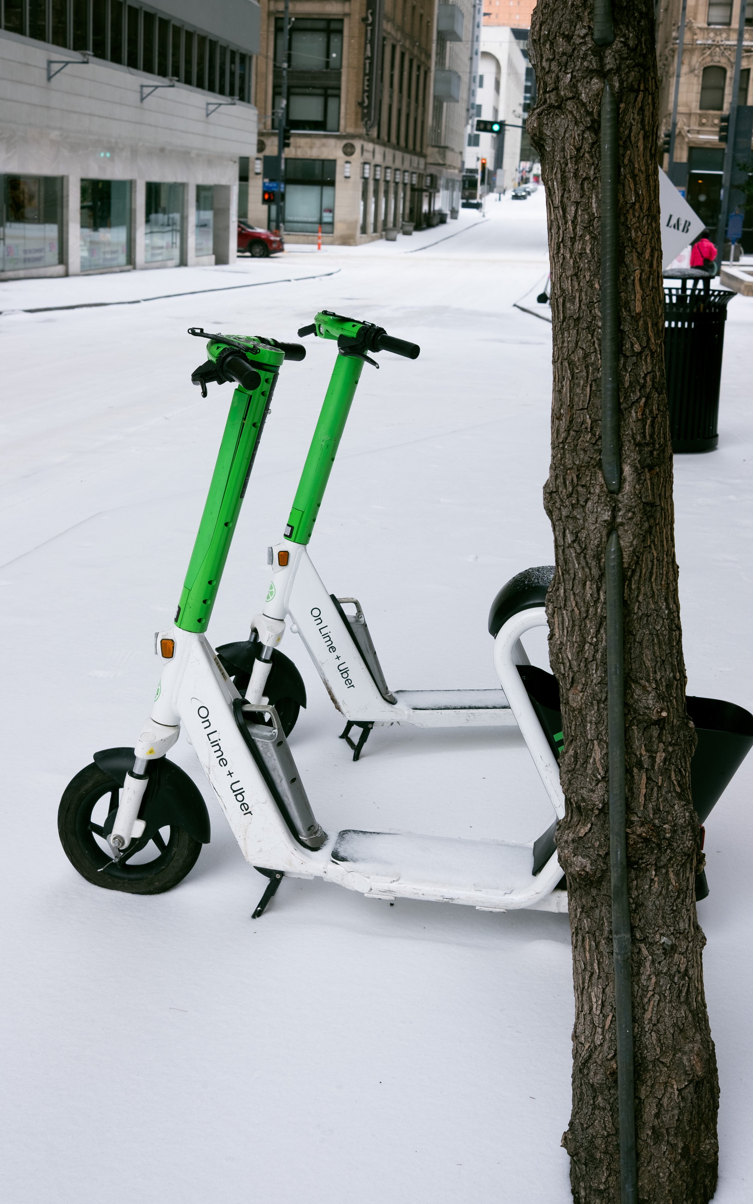 20226-01 Dallaska-6.jpg