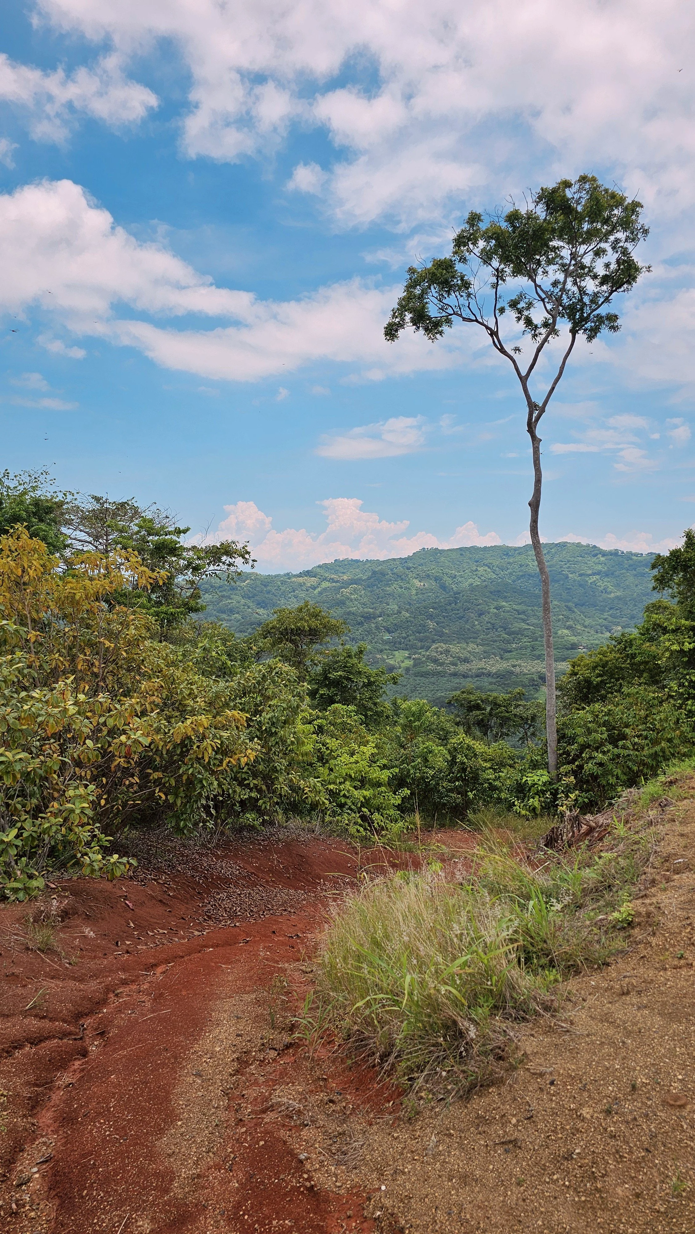 2024-08-22 12.23.29.jpg