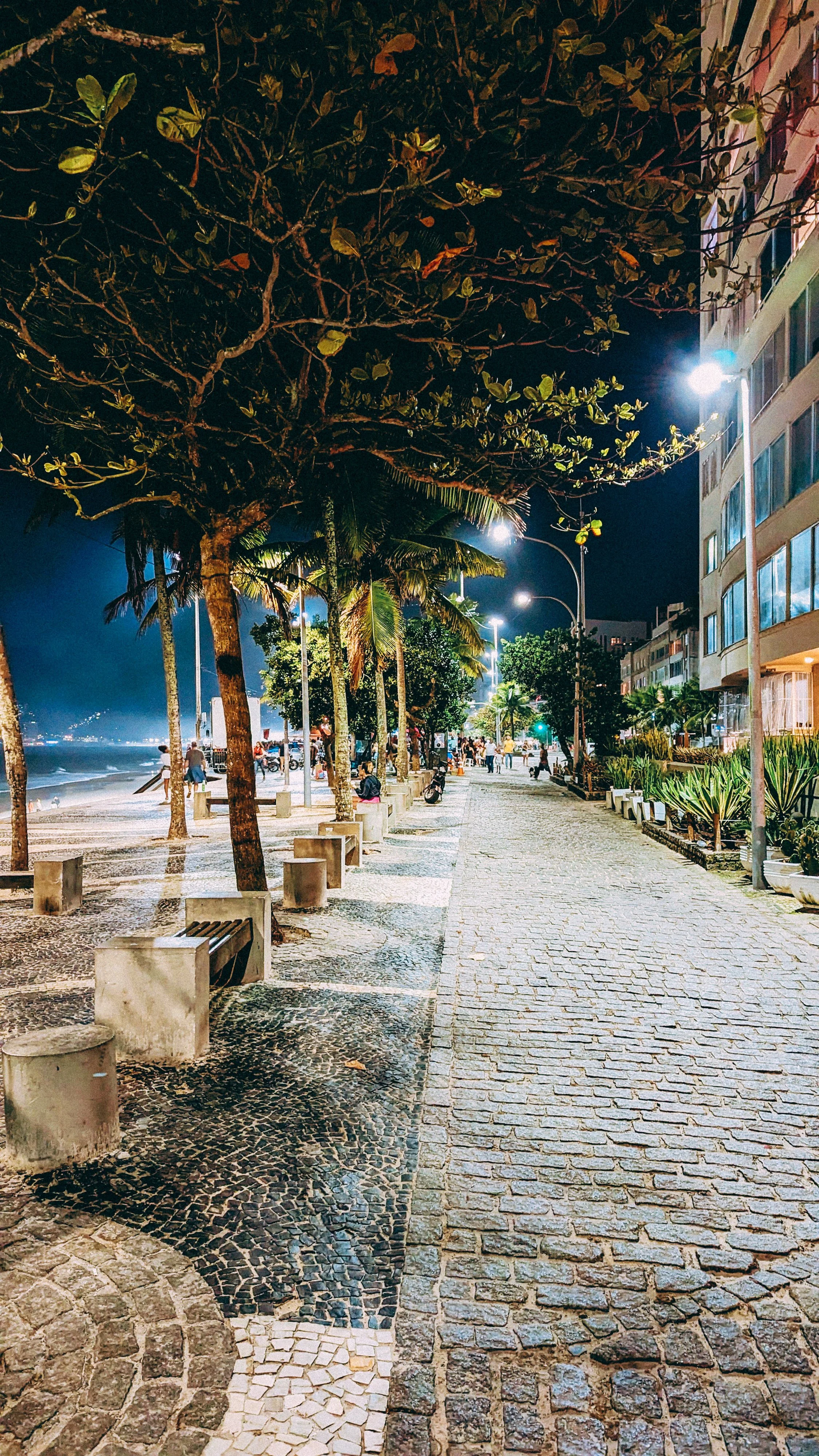 RDJ Art Edits--17.jpg