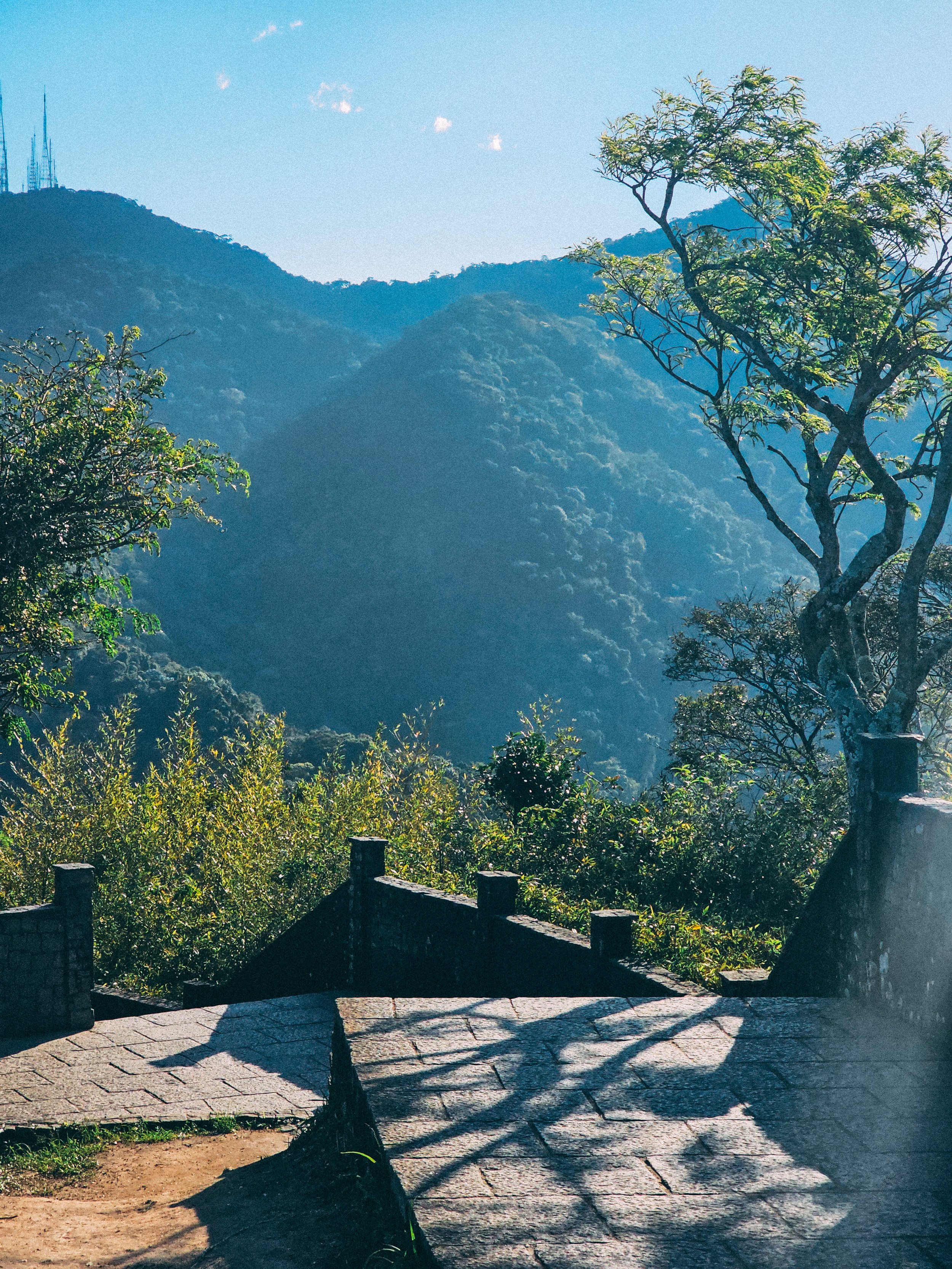 RDJ Art Edits--08.jpg