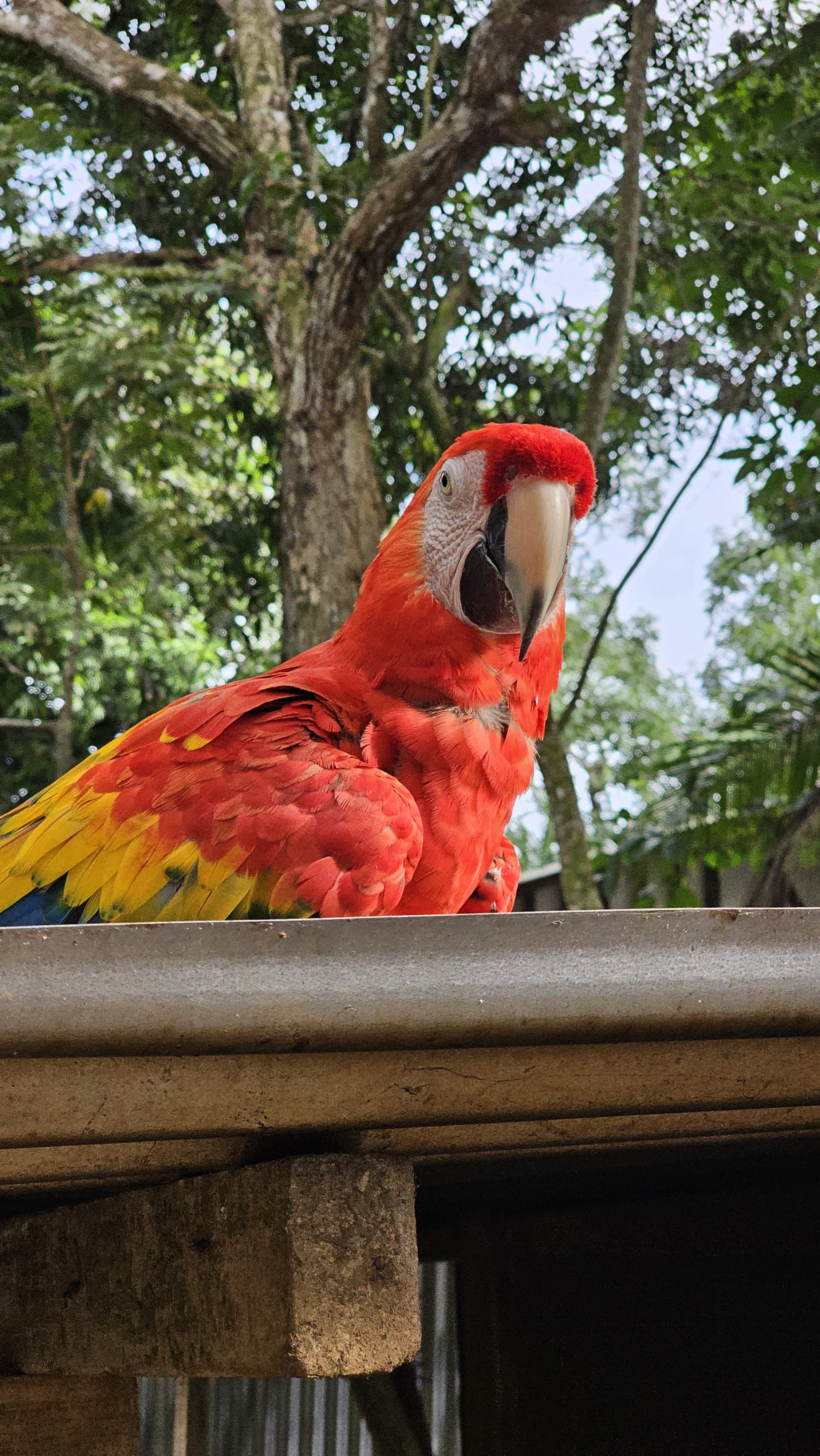 2024-08-23 15.37.59.jpg