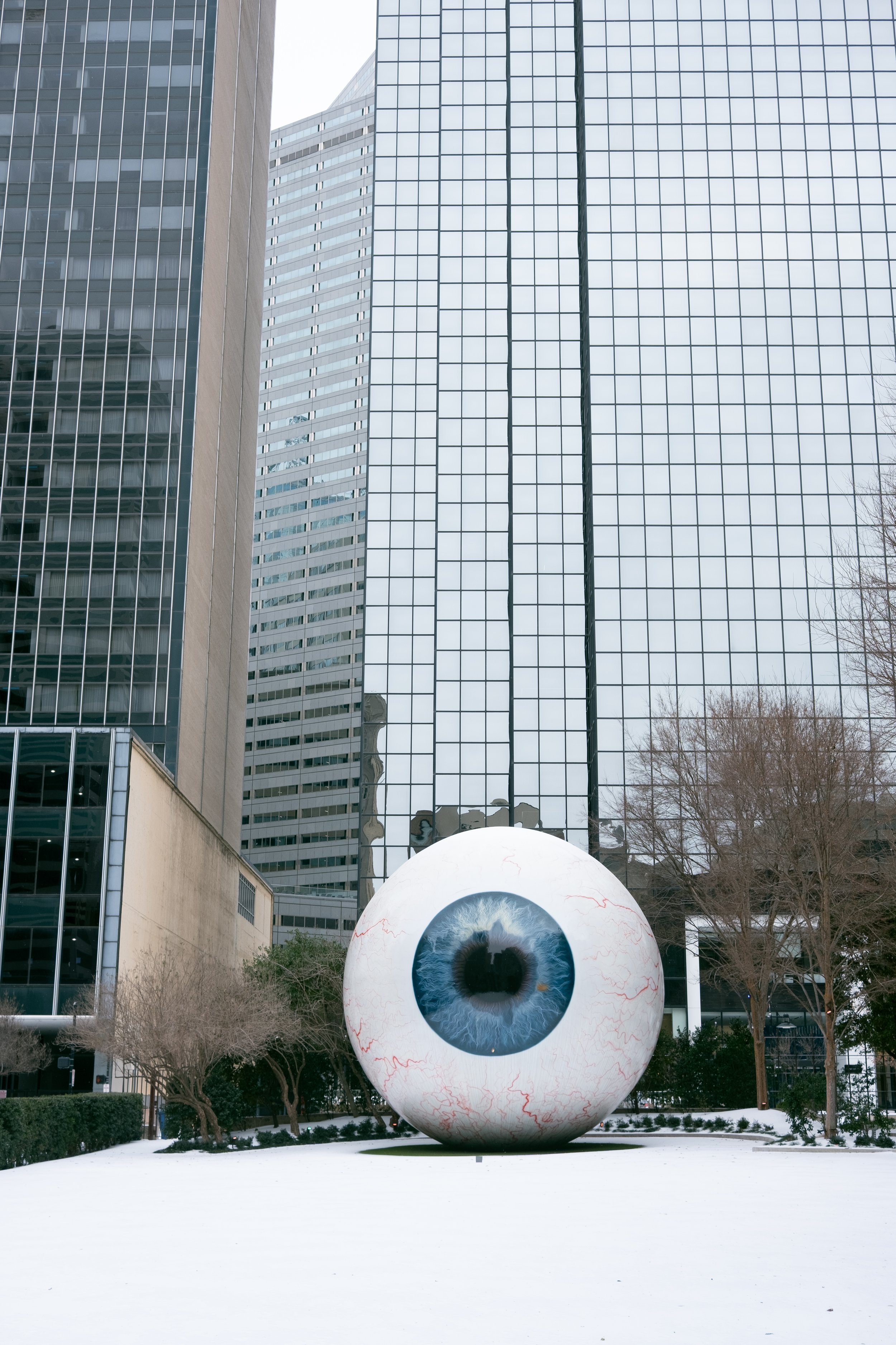 20226-01 Dallaska-1.jpg