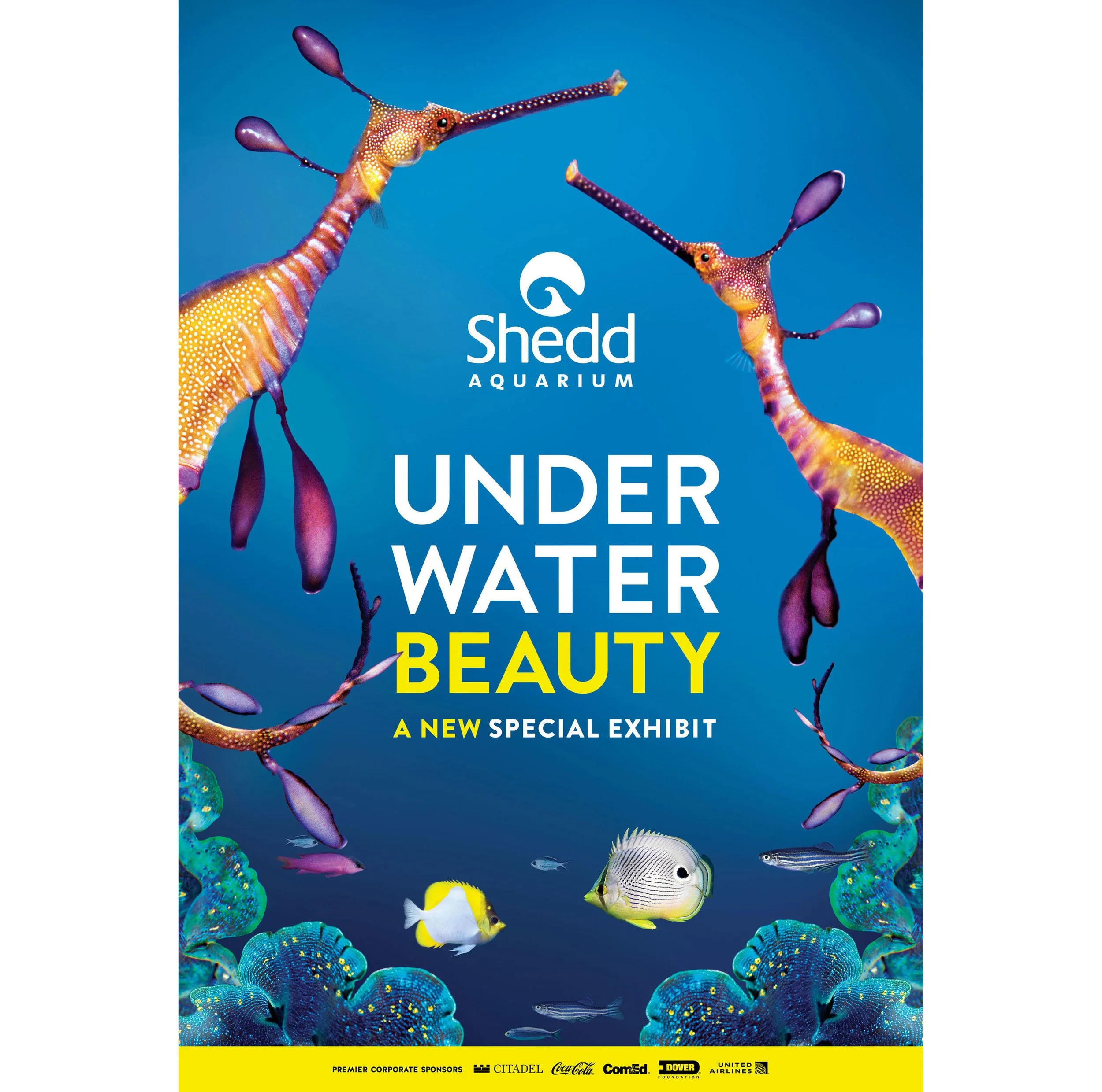 I22393C1_ADV1814_Ad_Bus_Shelters_Weedy_Seadragon_LR.jpg