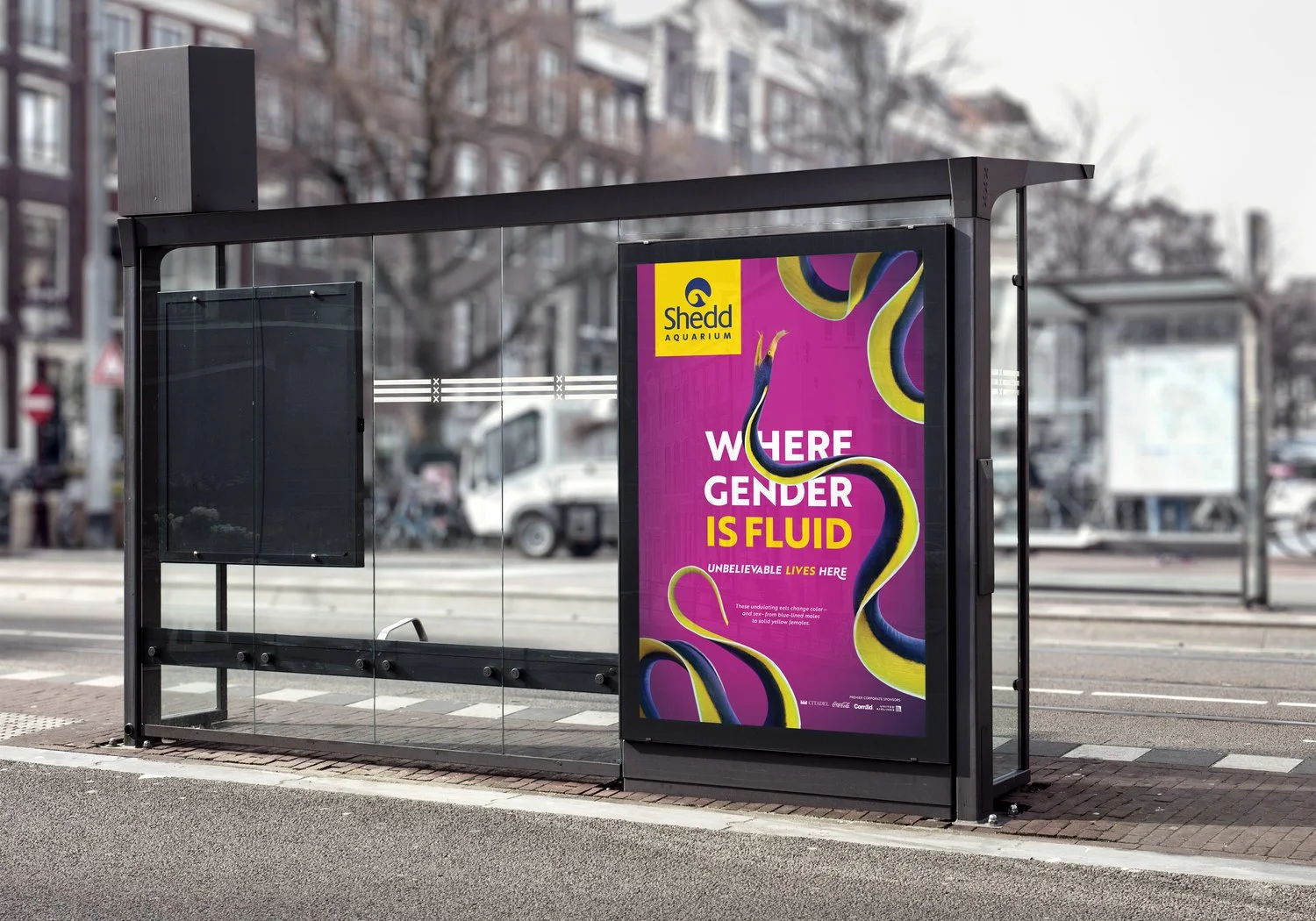 Bus_Shelter_Eel.jpg