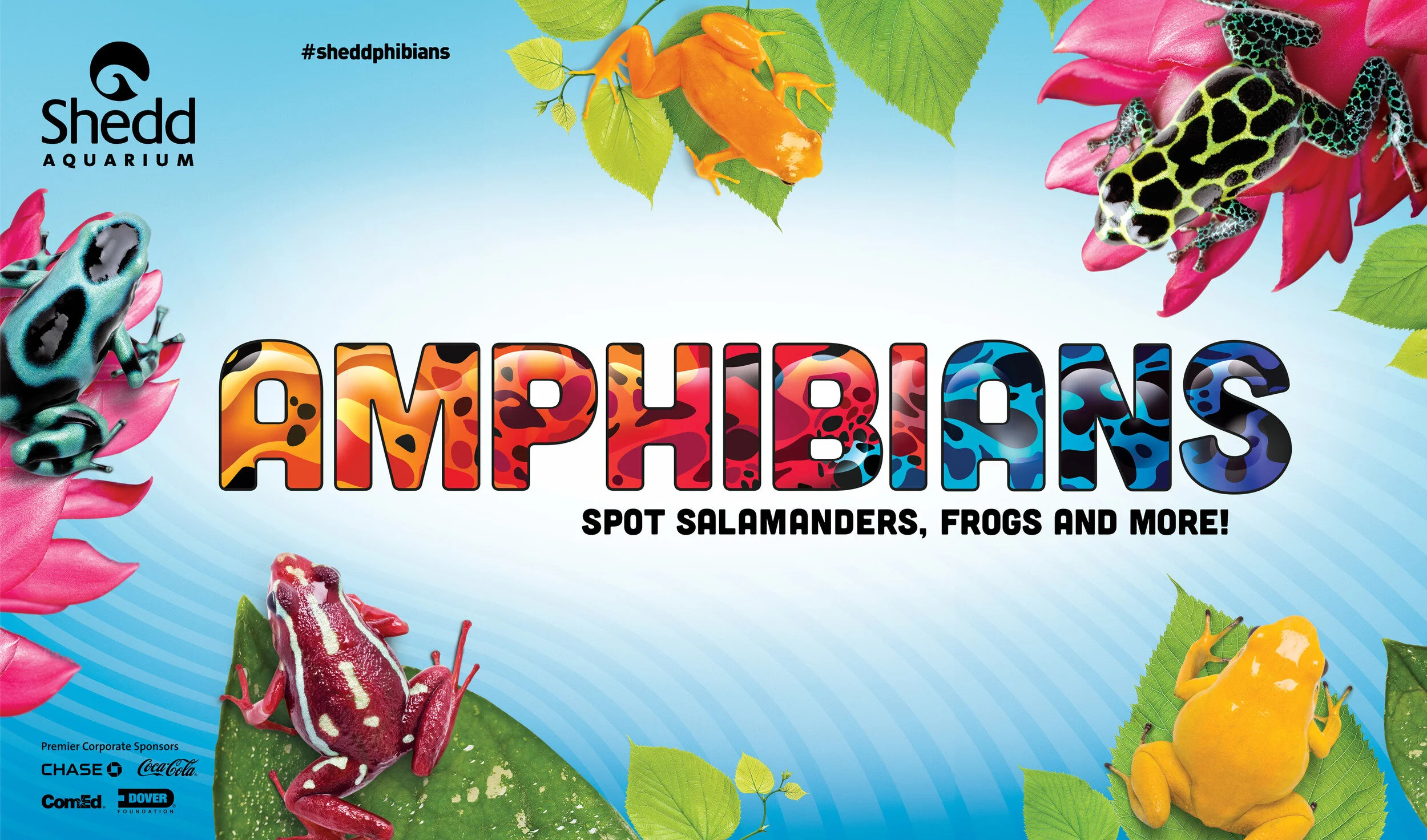ADV1623_Amphibians_Bus_Shelter_Full_Wrap_LR.jpg