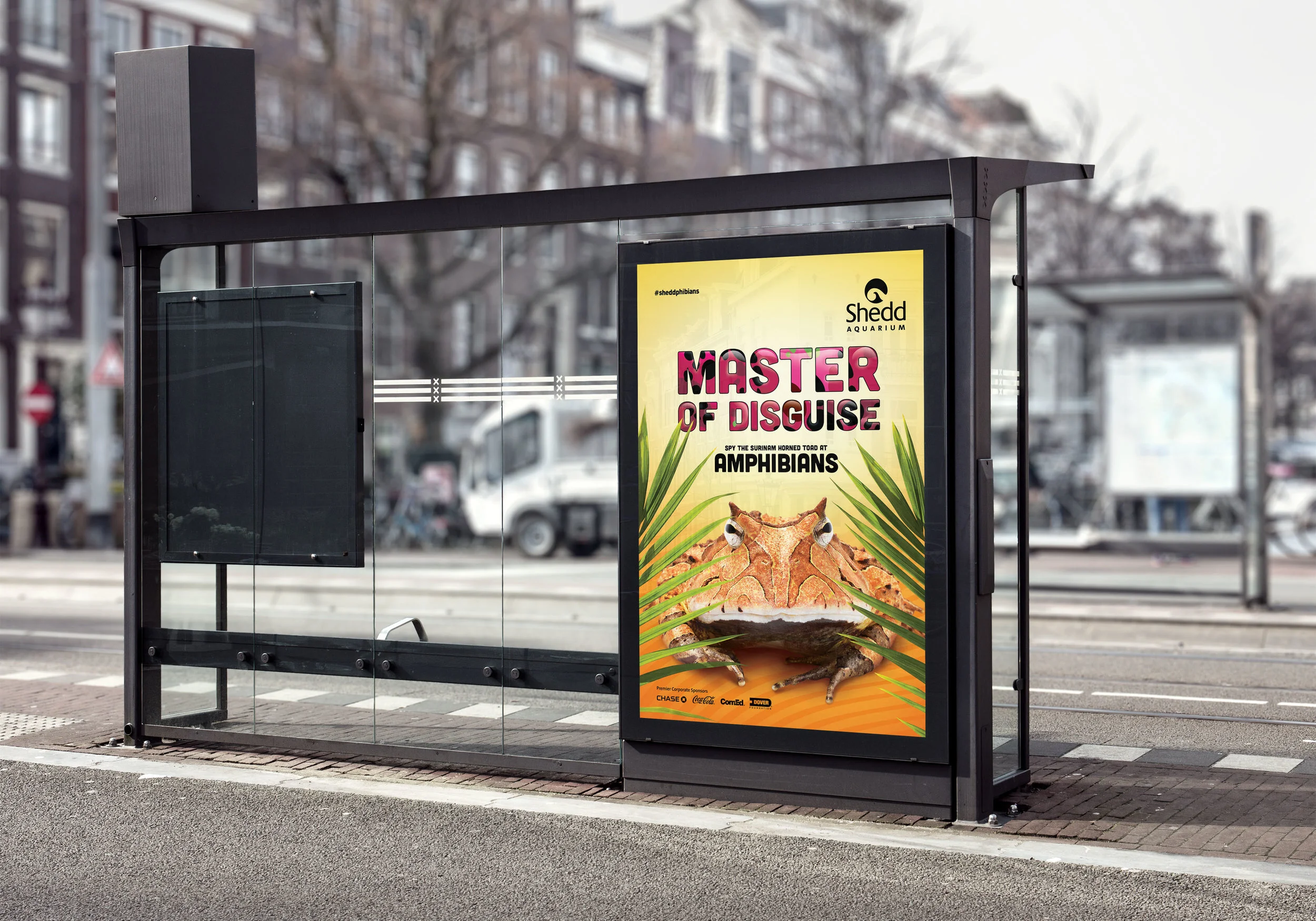 Bus+Stop+Masters.jpg