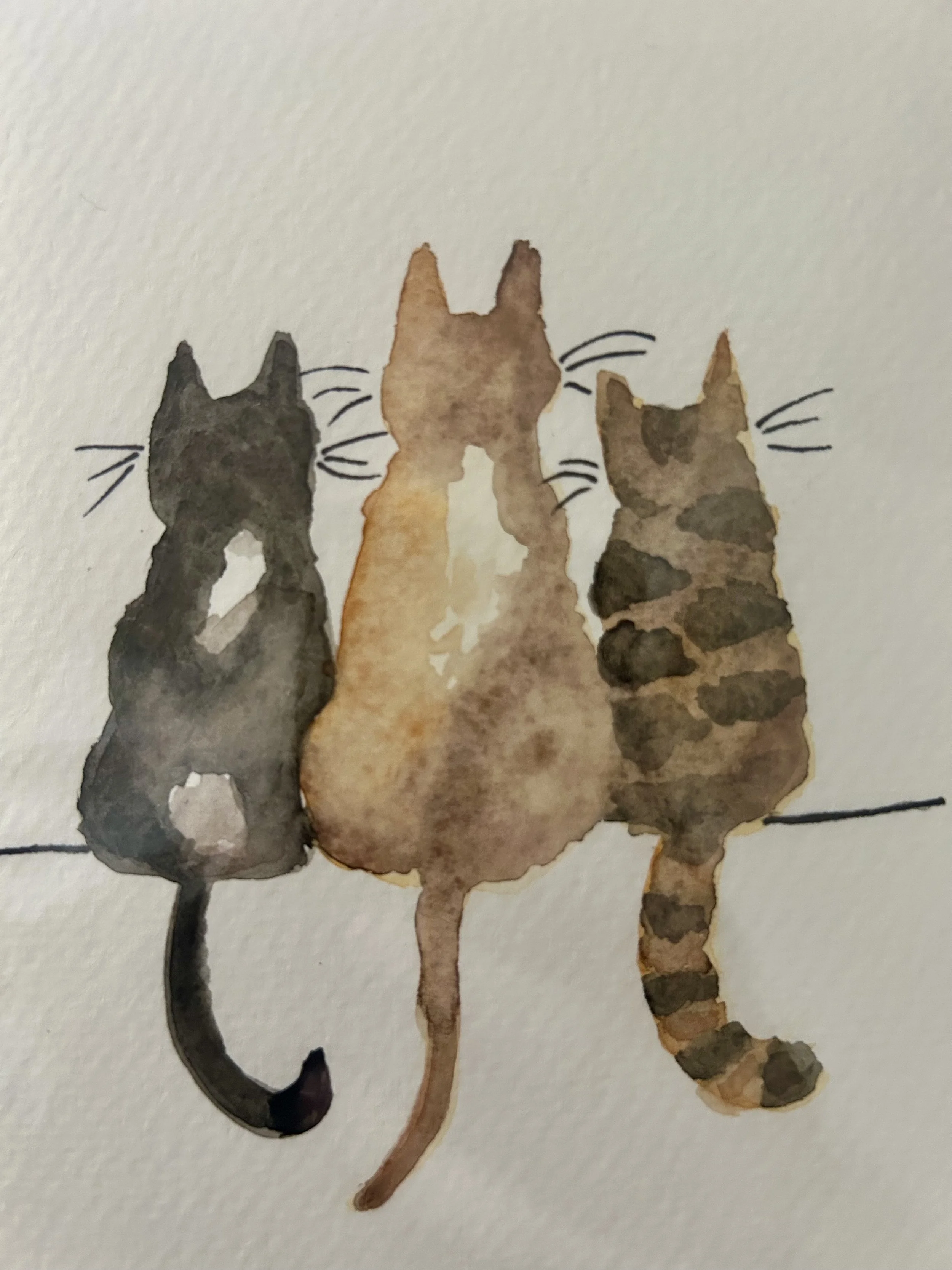 3 Cats Card