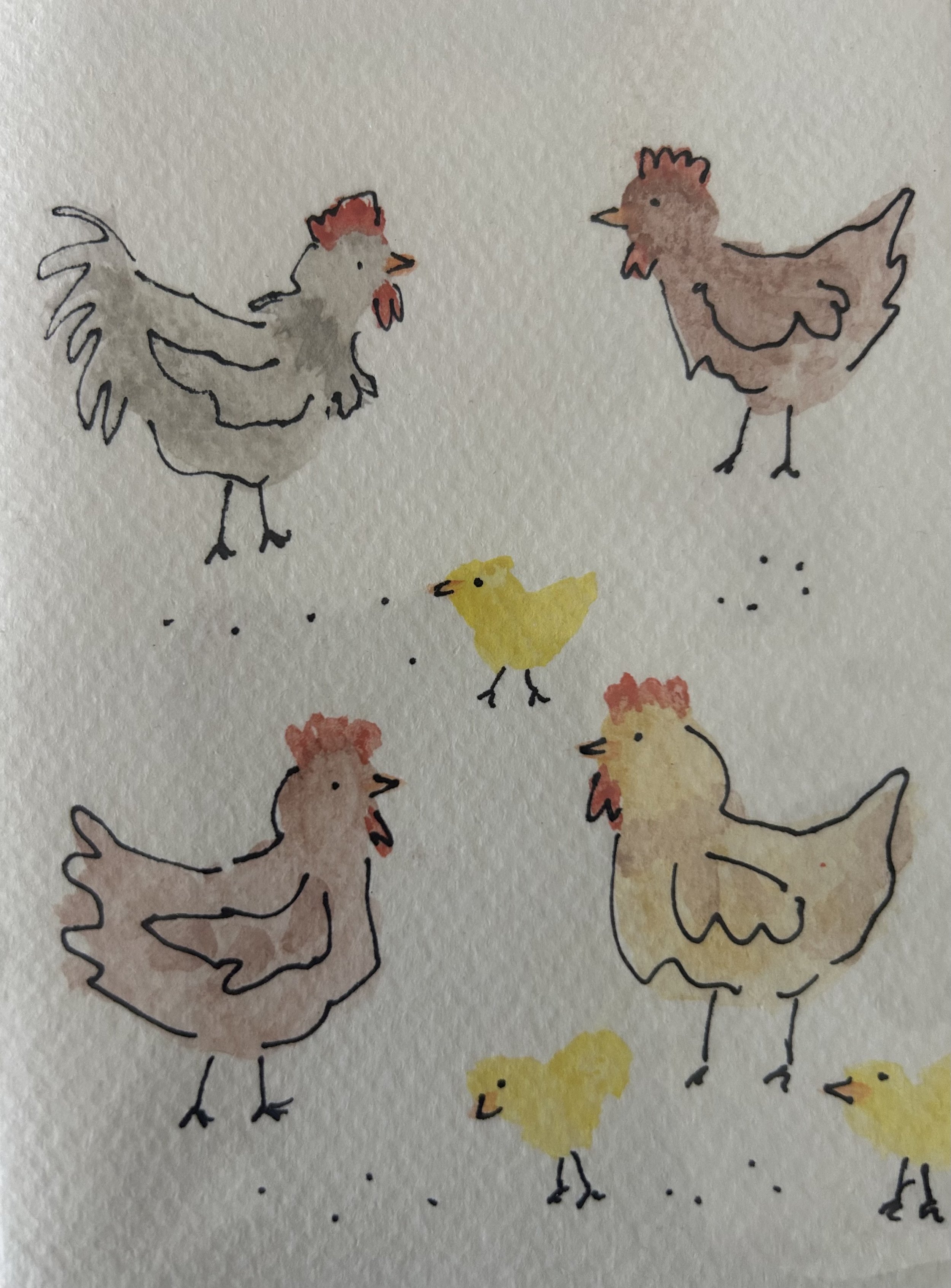 Chickens Card