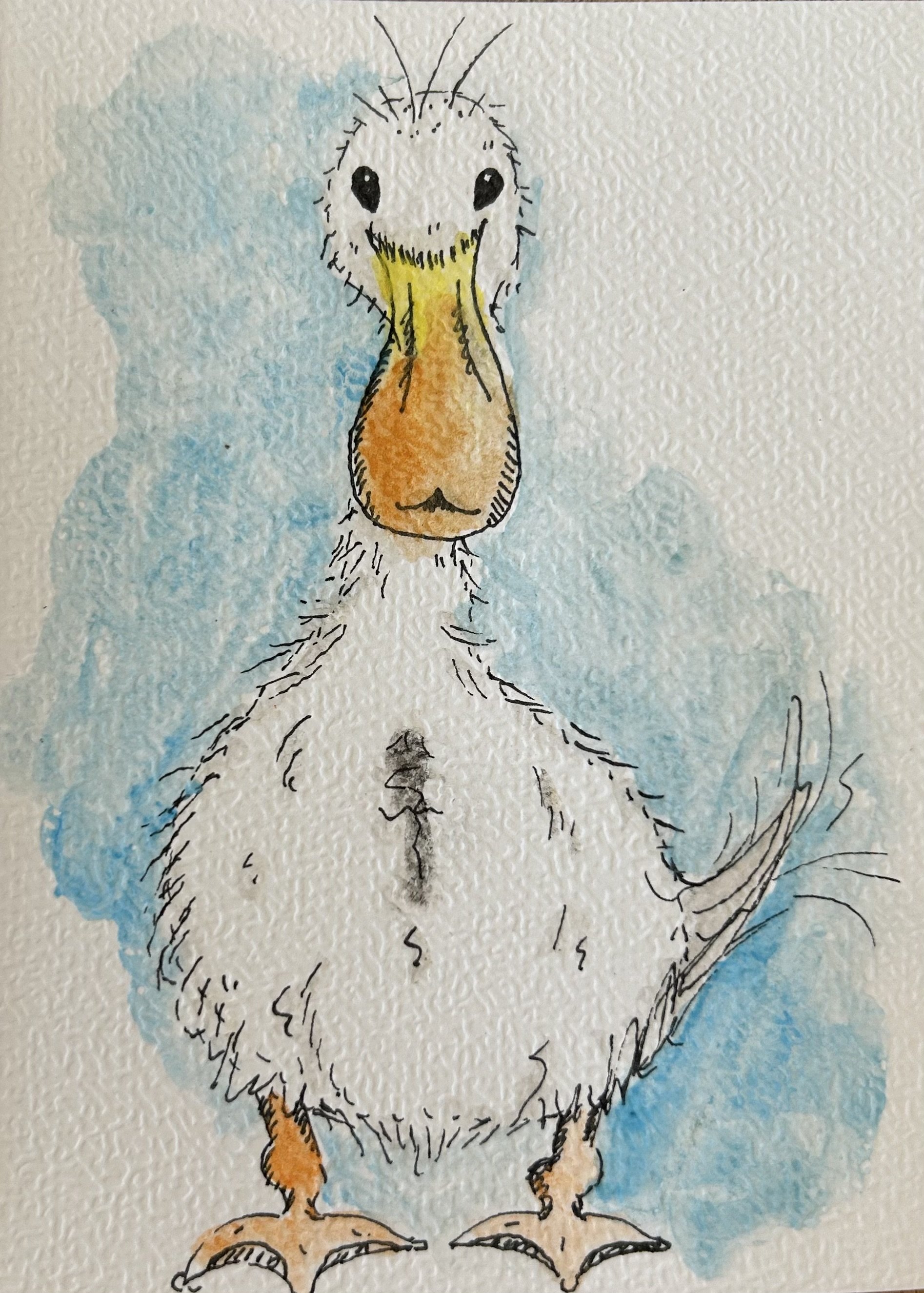 Duck Card