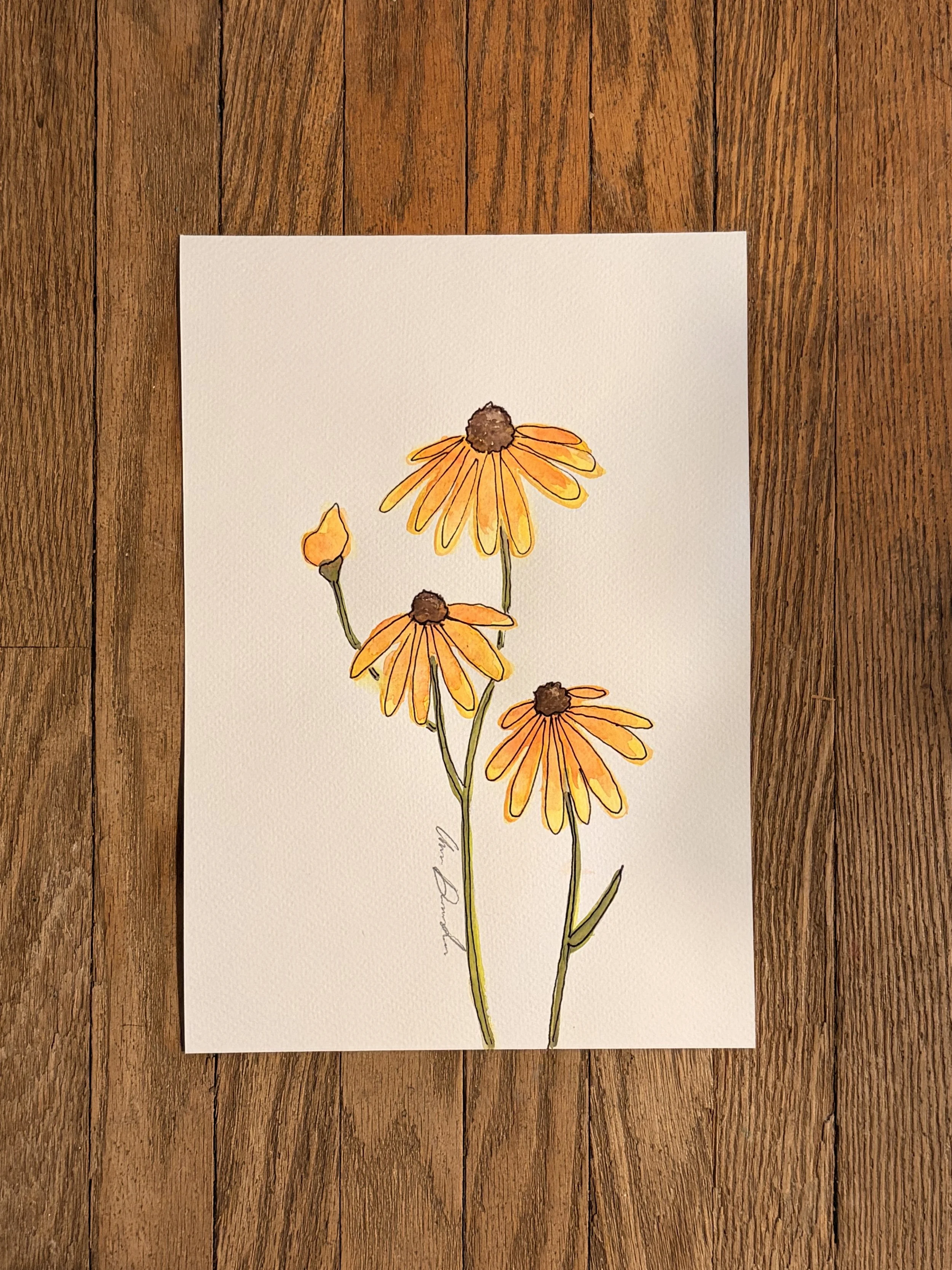 Black-Eyed Susan Flowers