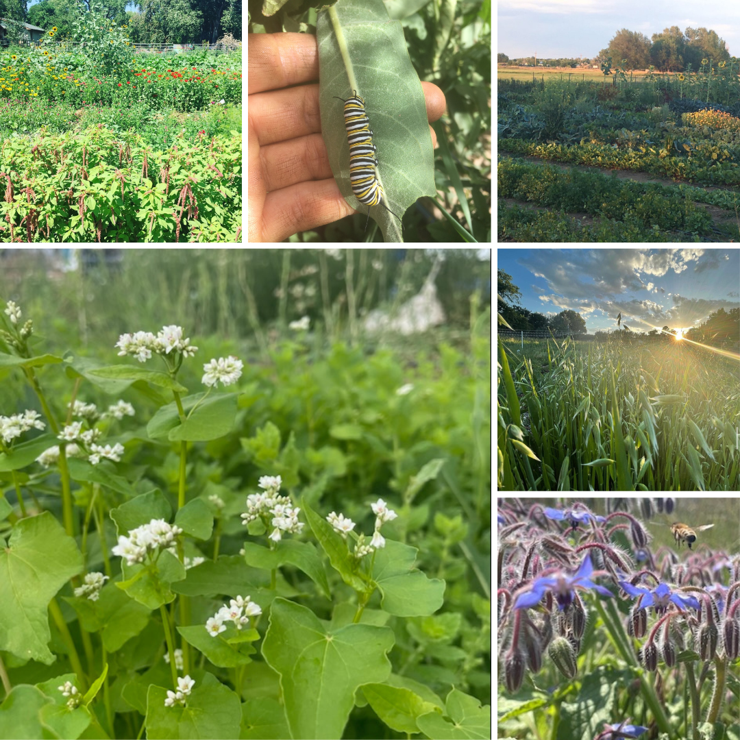 Untitled design (8).png