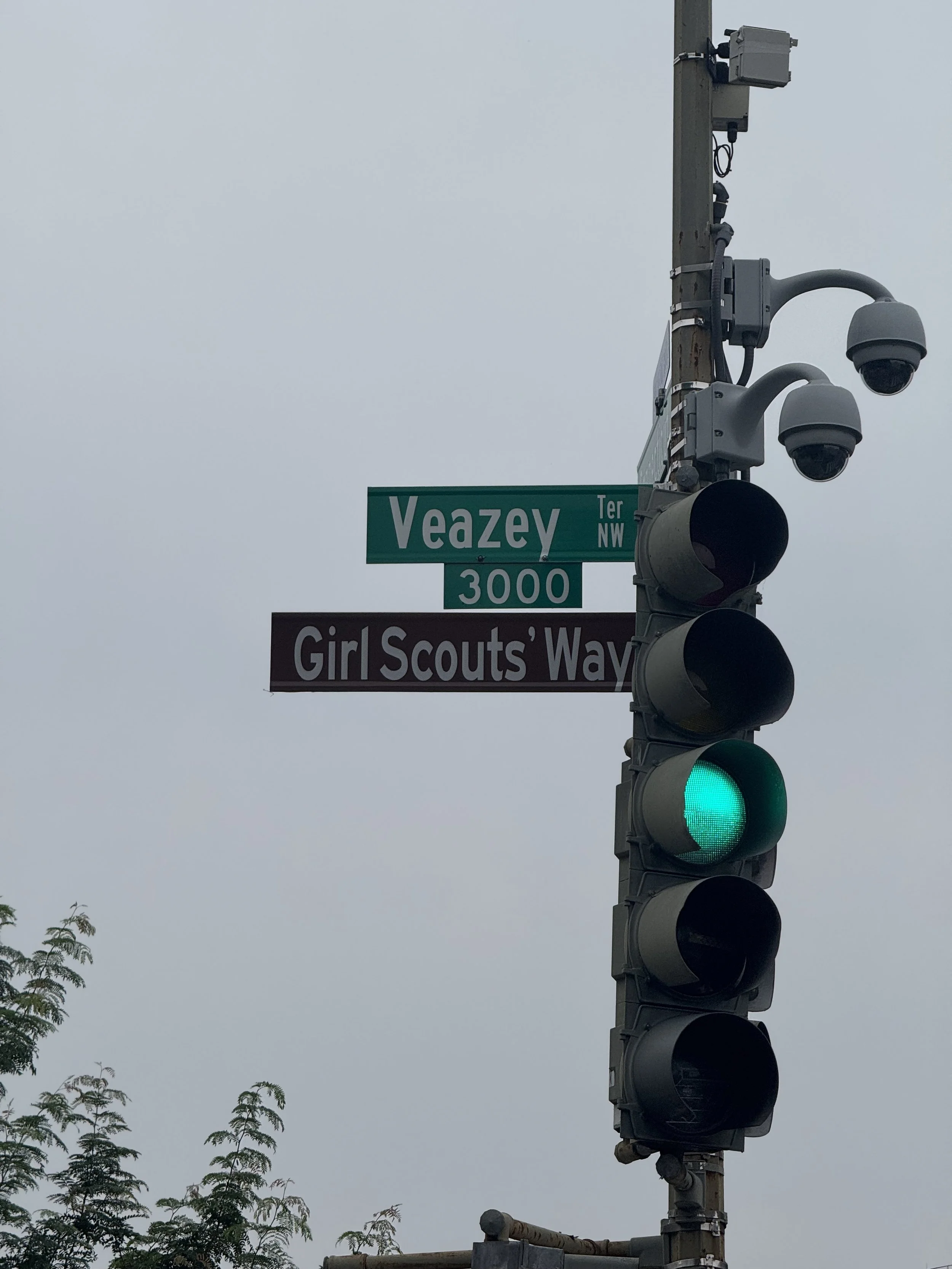 IMG_5561.jpeg