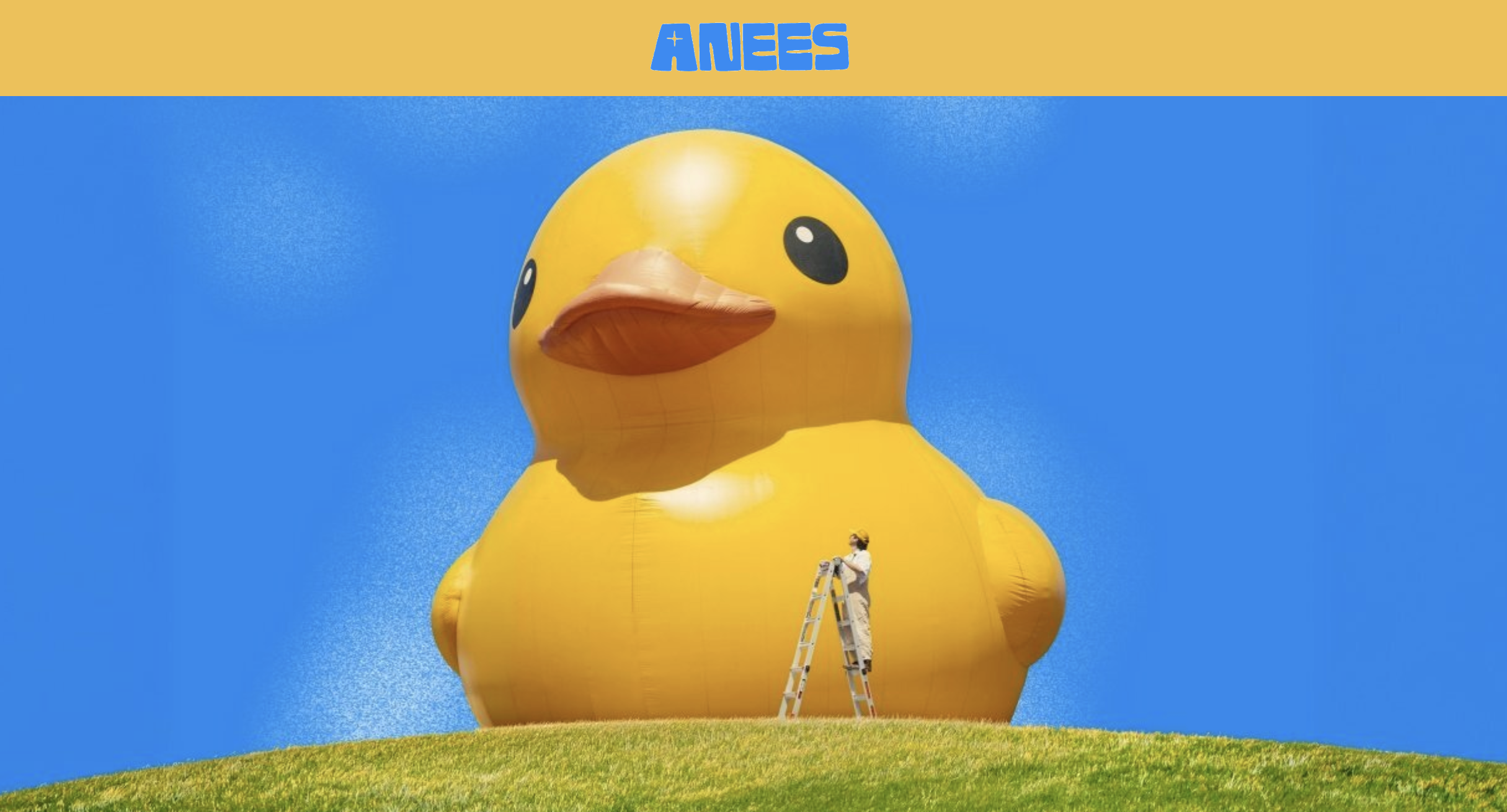 Anees Concert