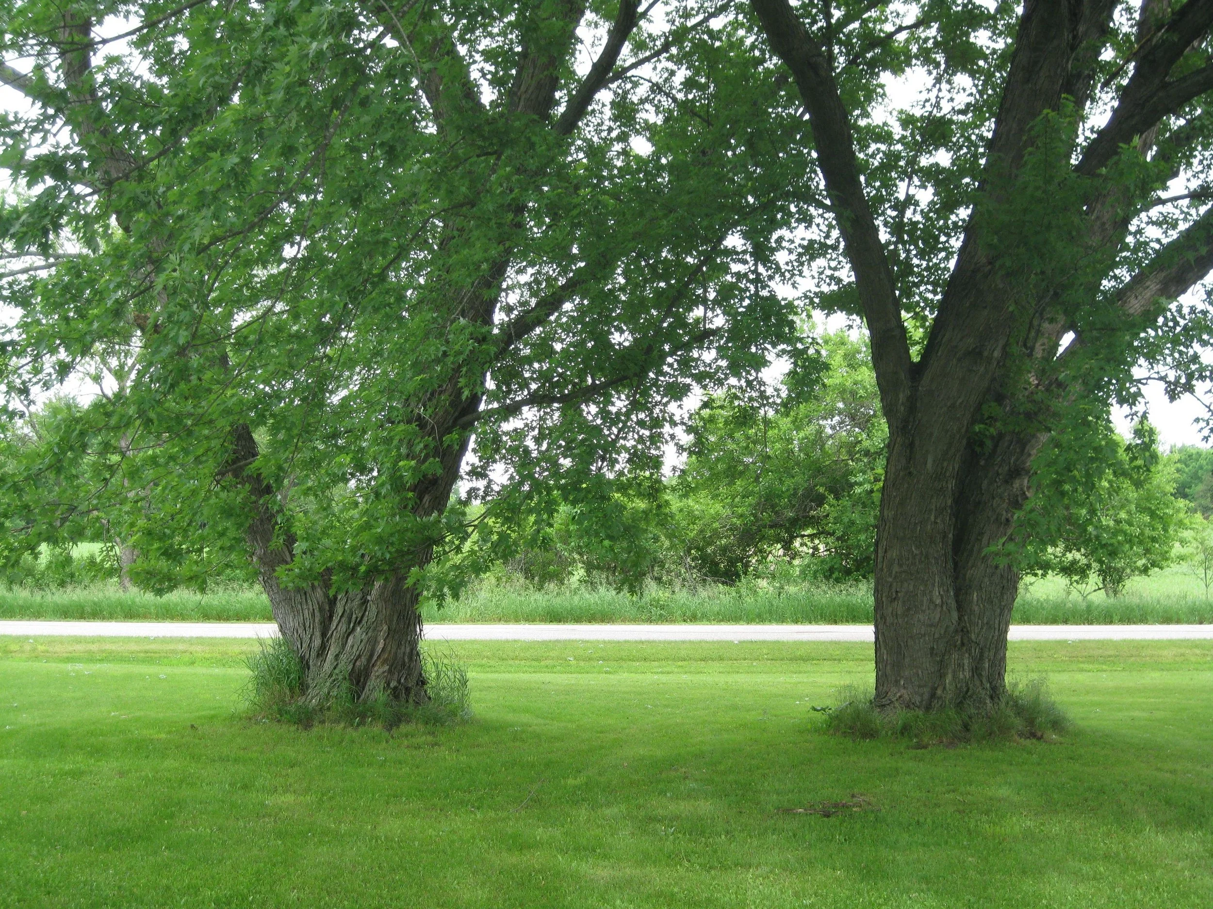 Mother Nature