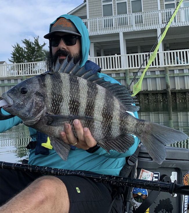 How To Catch Big Sheepshead From A Kayak
