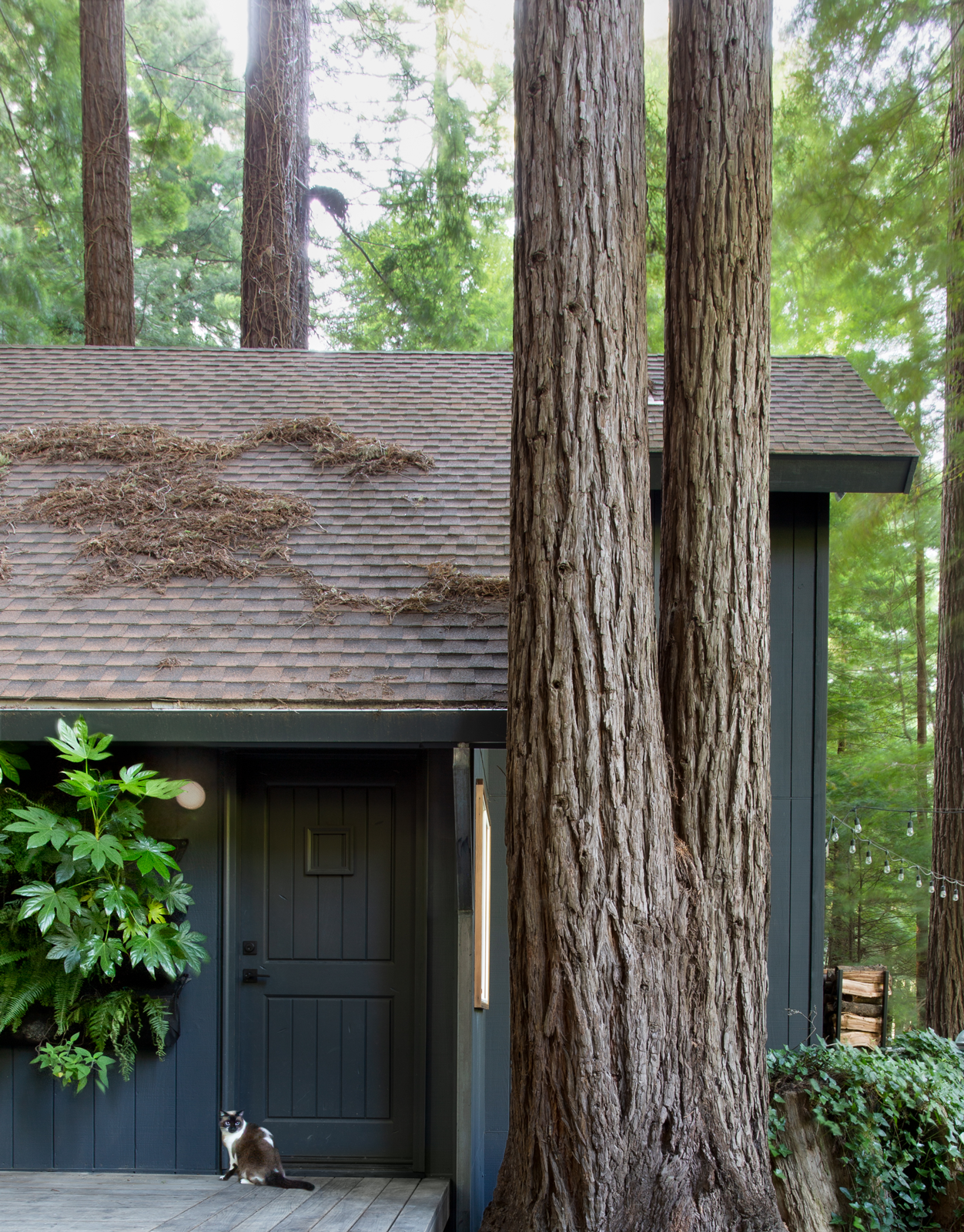 StudioPLOW-CazCabin-SuzannaScottPhoto-16.png