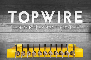 TOPWIRE.PNG