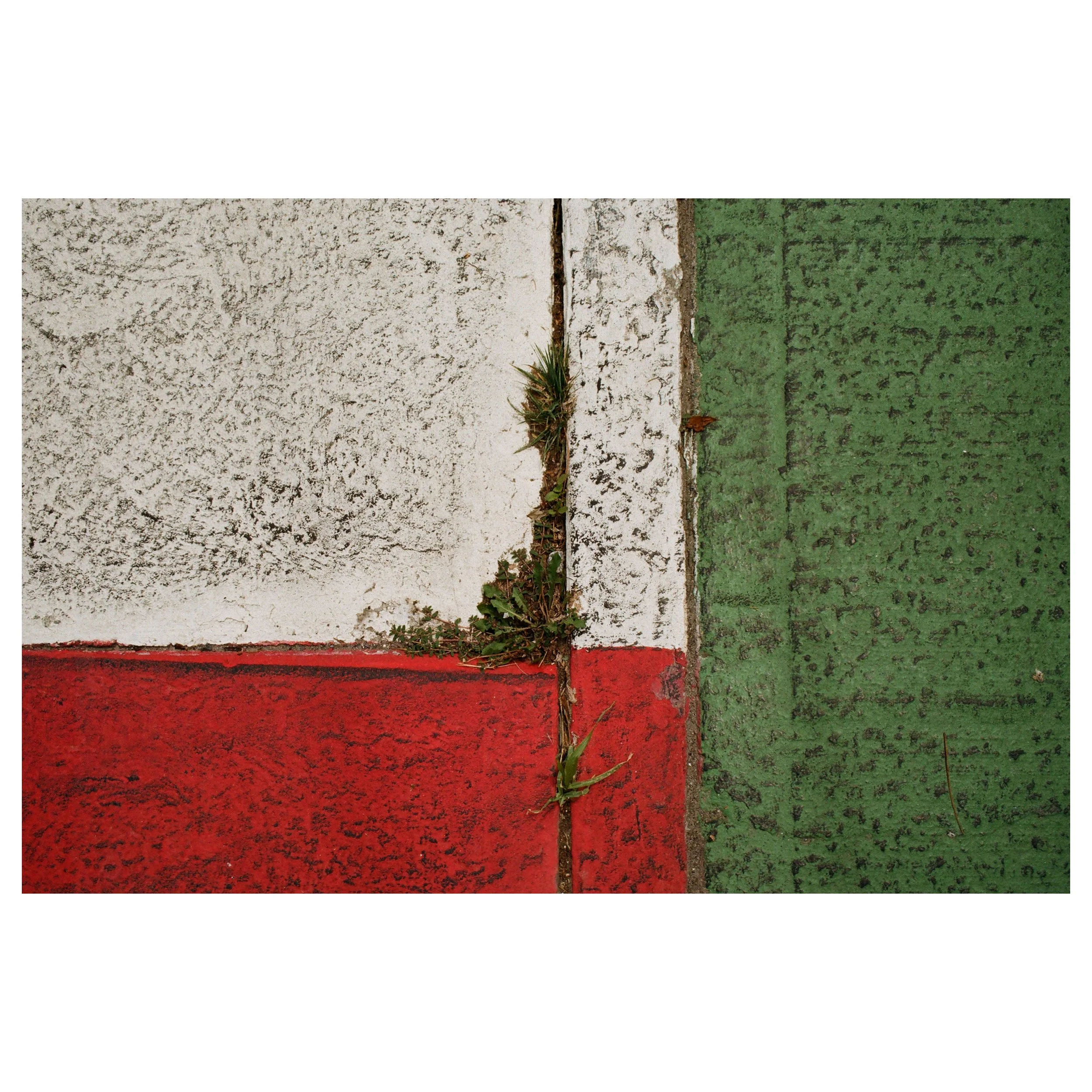 2024.7 Canada-91 2.jpg