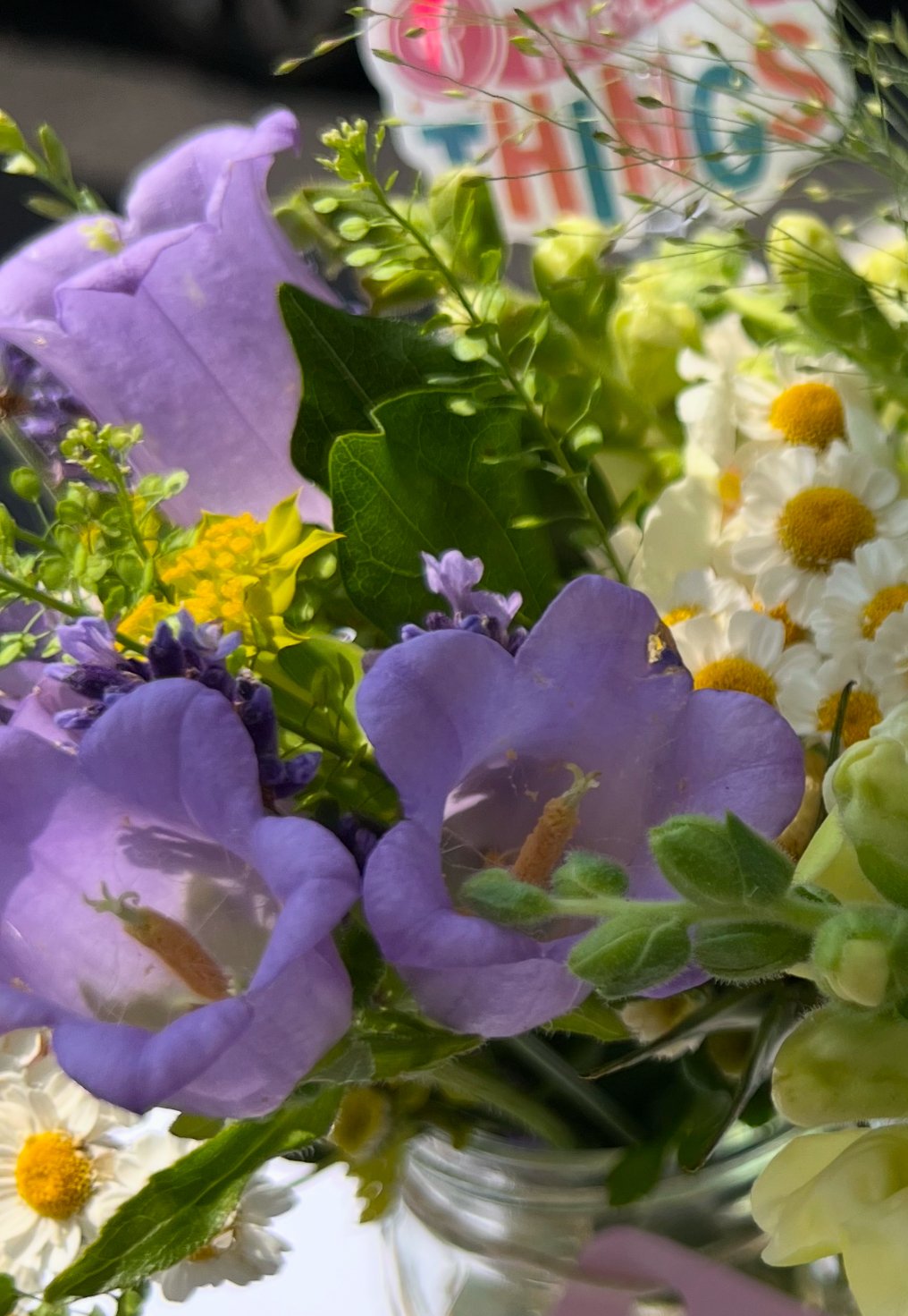 D9F46724-20D6-4CA4-A141-2CA6AAA57740.jpeg