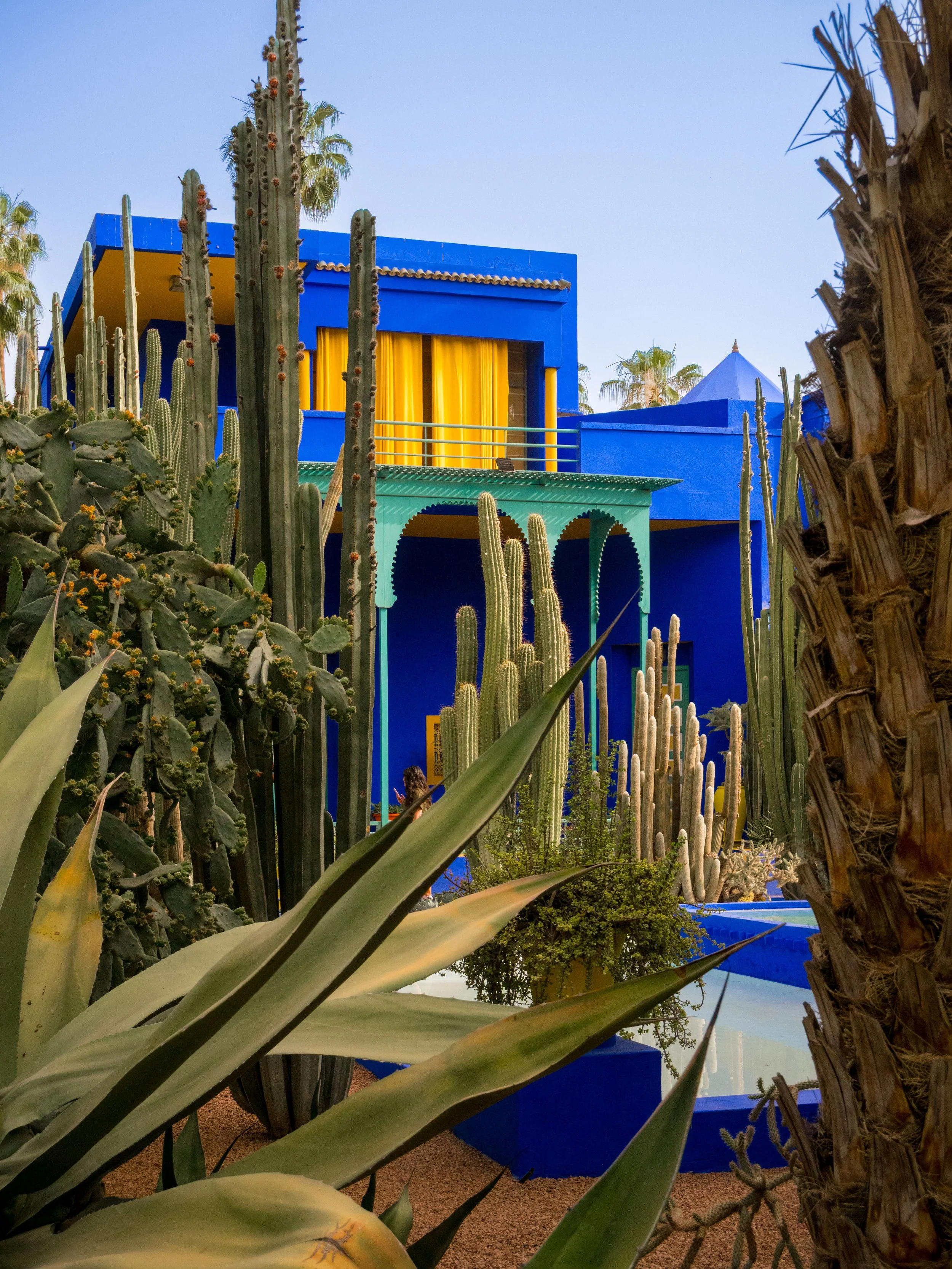 Jardin Majorelle Marrakech