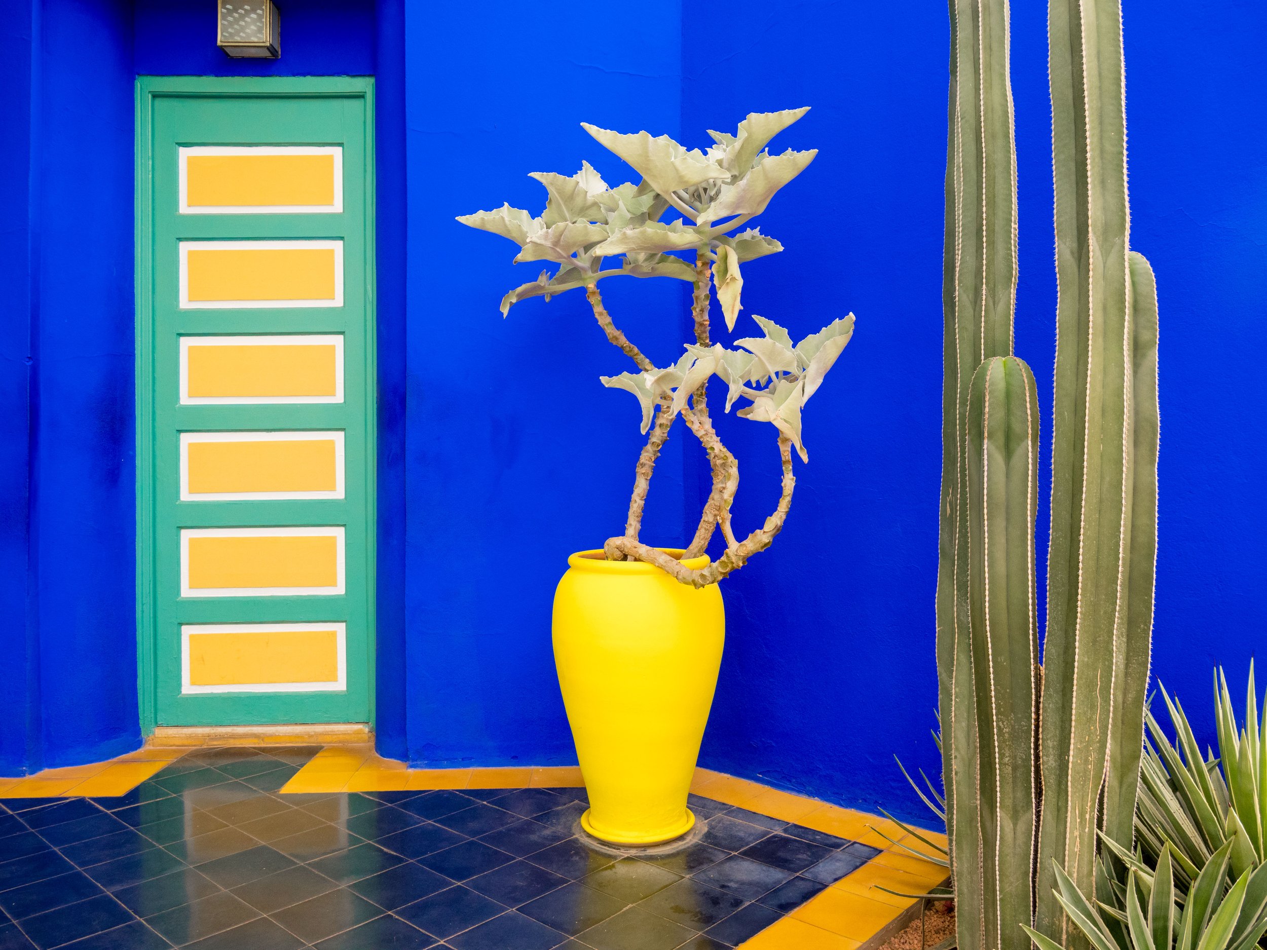 Jardin Majorelle Marrakech