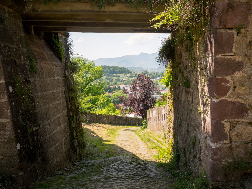 P1051140-2.jpg