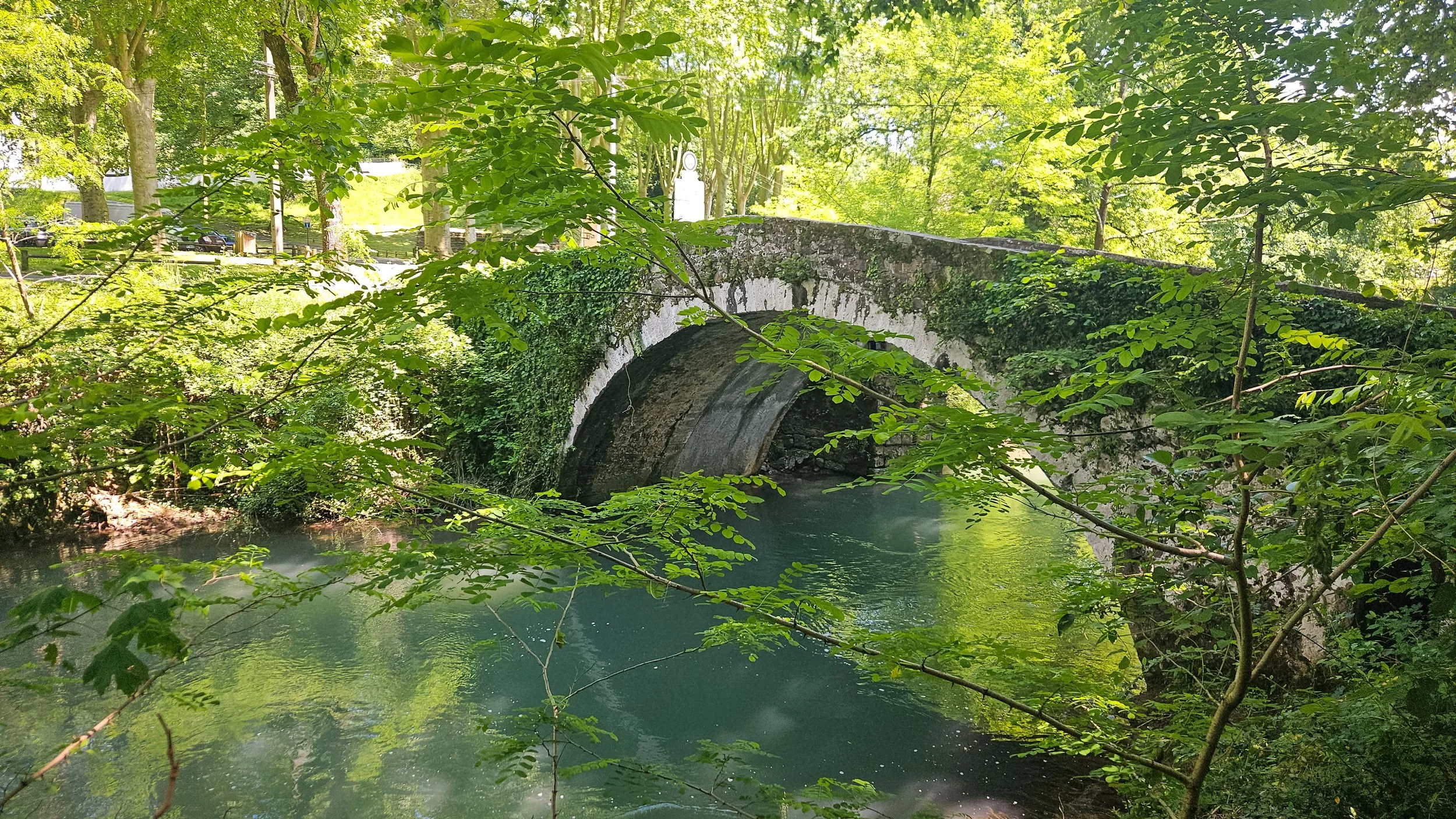 20250518_145241.jpg