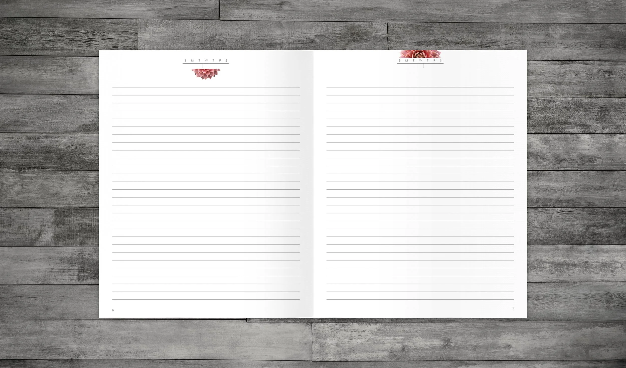 Interior spread of Daily Journal: Succulents and Cacti