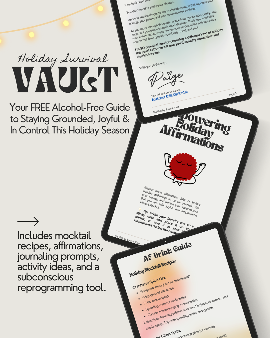 The Holiday Survival Vault (Free Guide)