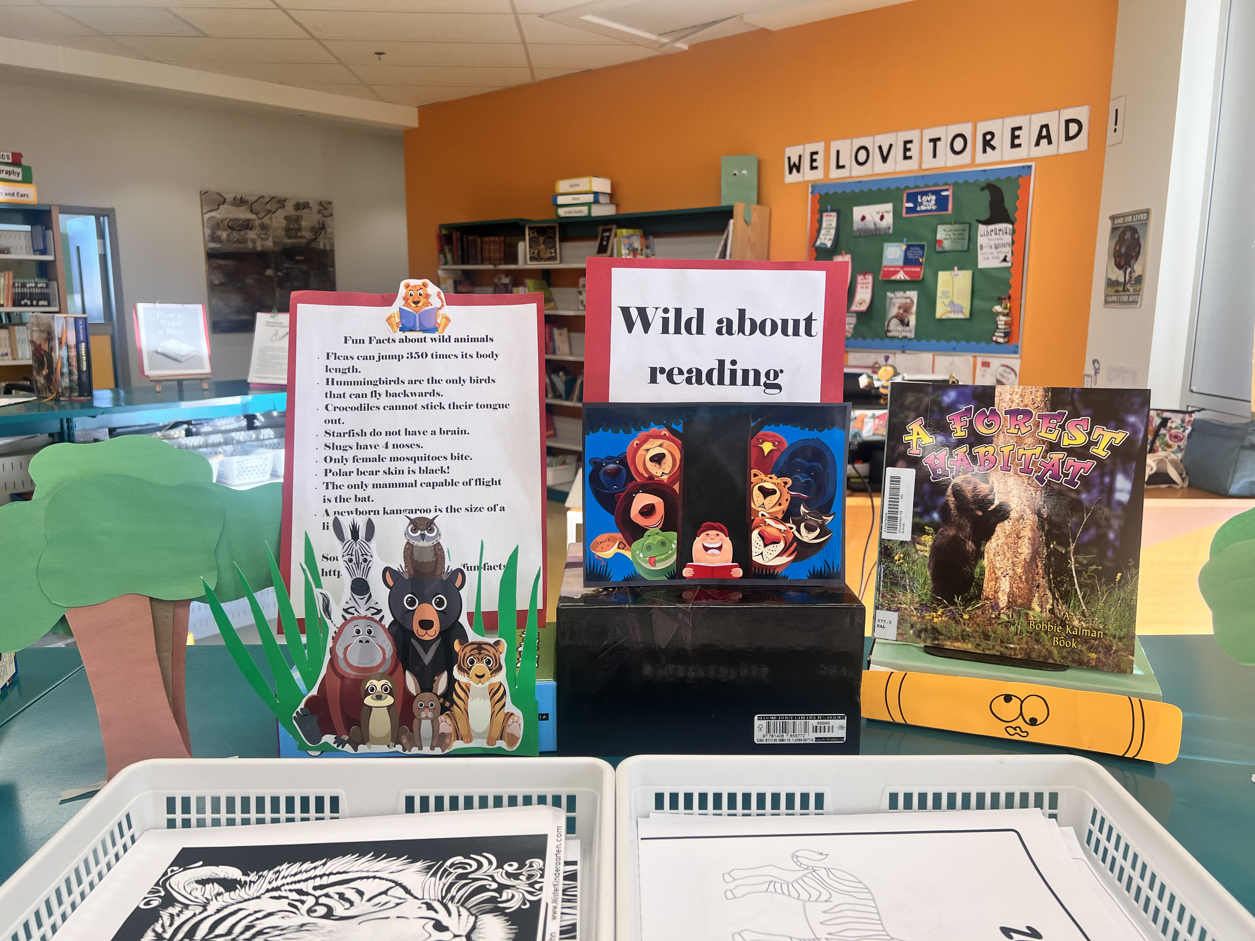 Wild Animals
