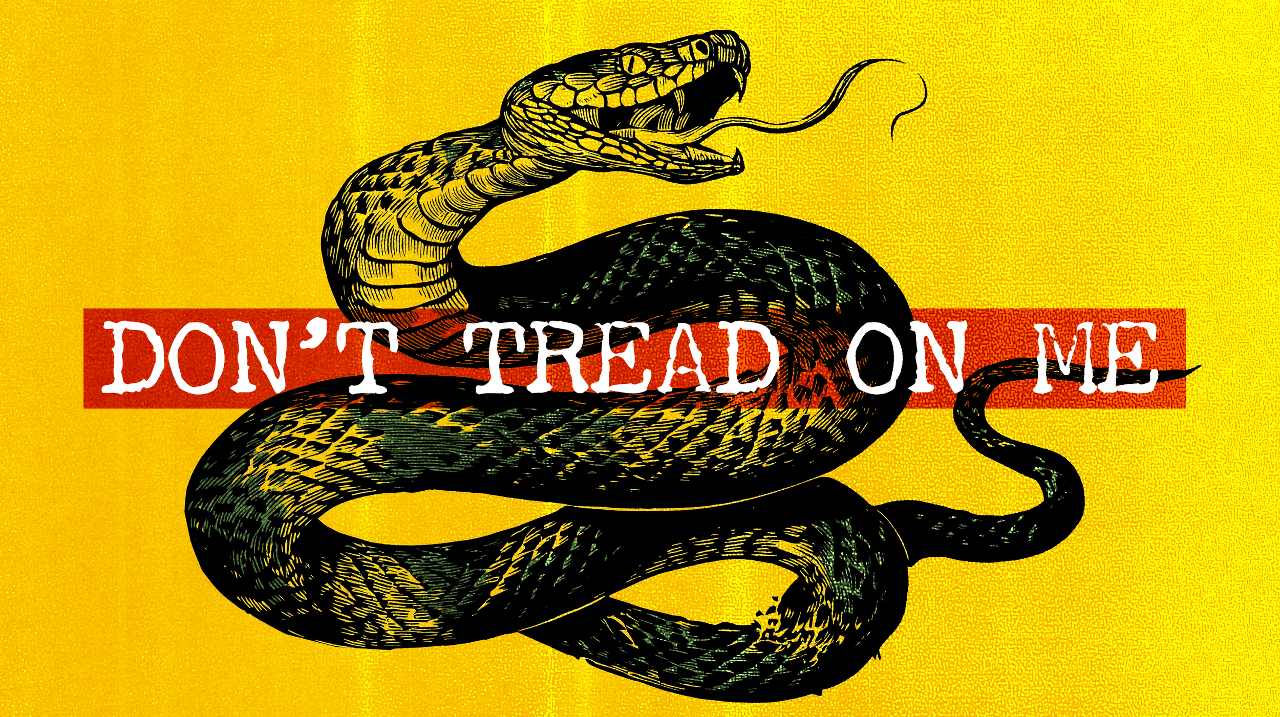 Federal vs. States’ Rights in the AI Era