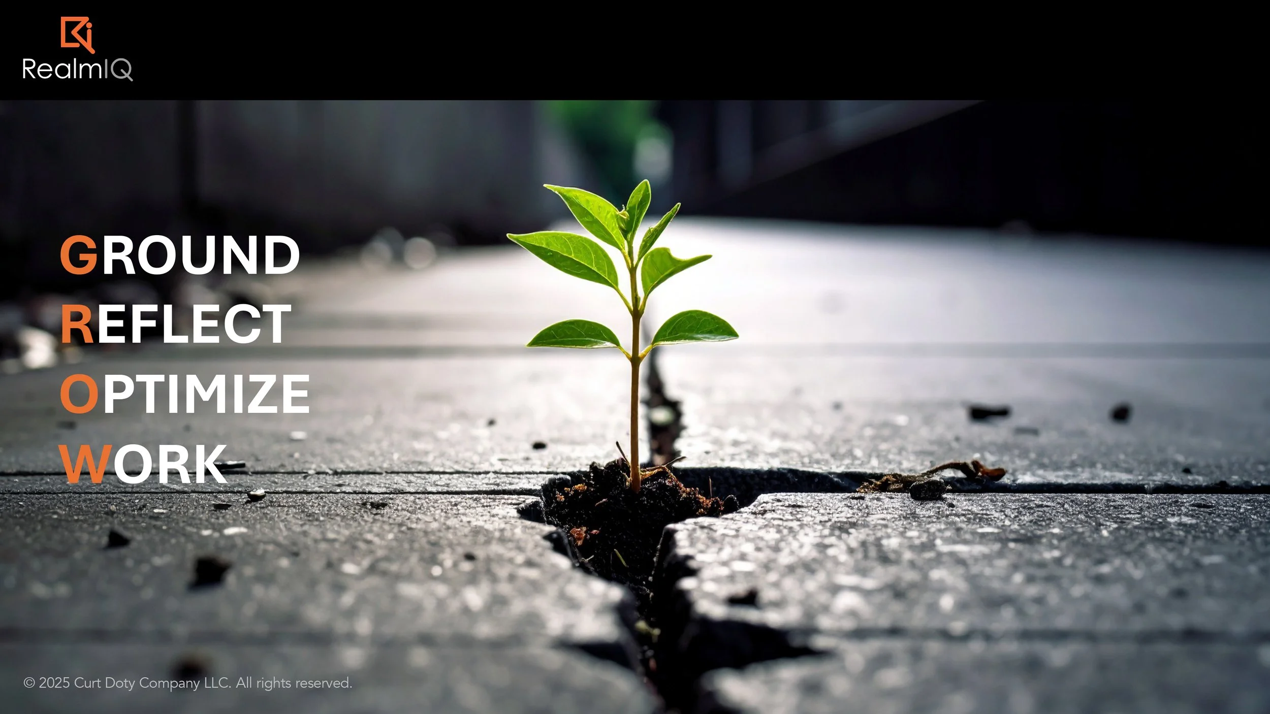 GROW01.jpg
