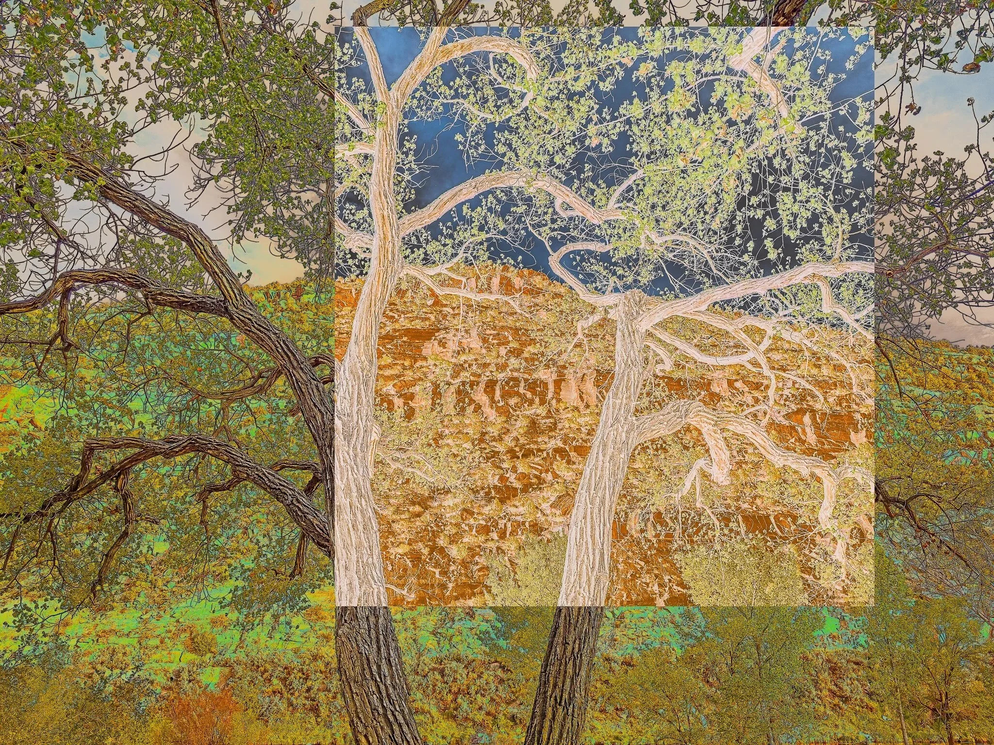 Numinous Landscapes/Paysages Numineux