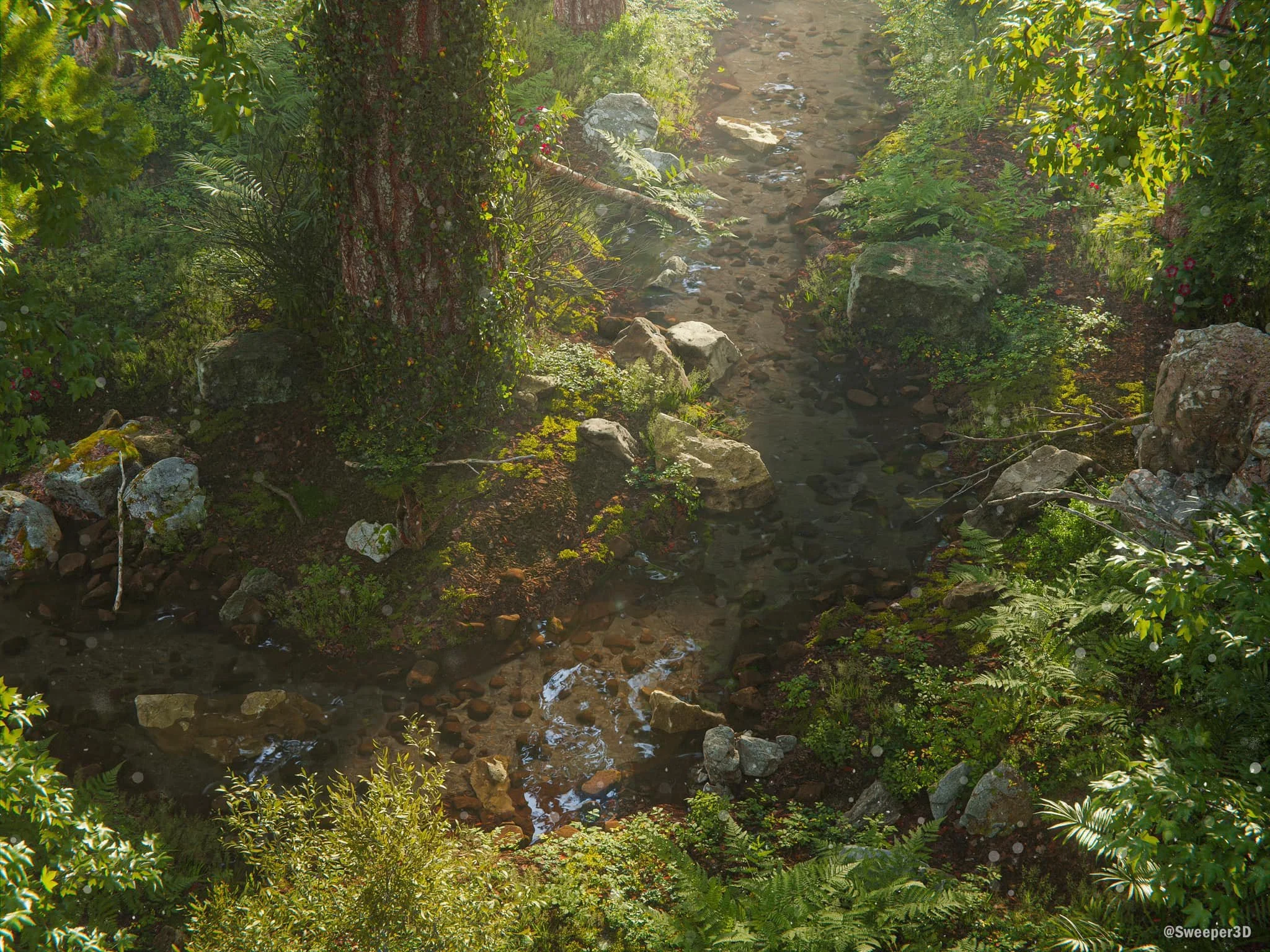 Forest creek Time lapse</a>