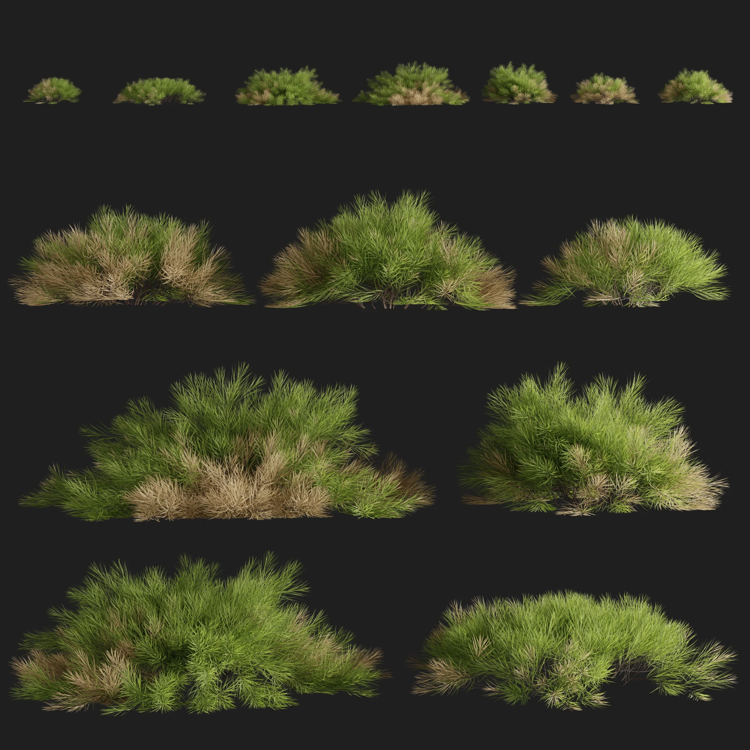Desert Brush Assets