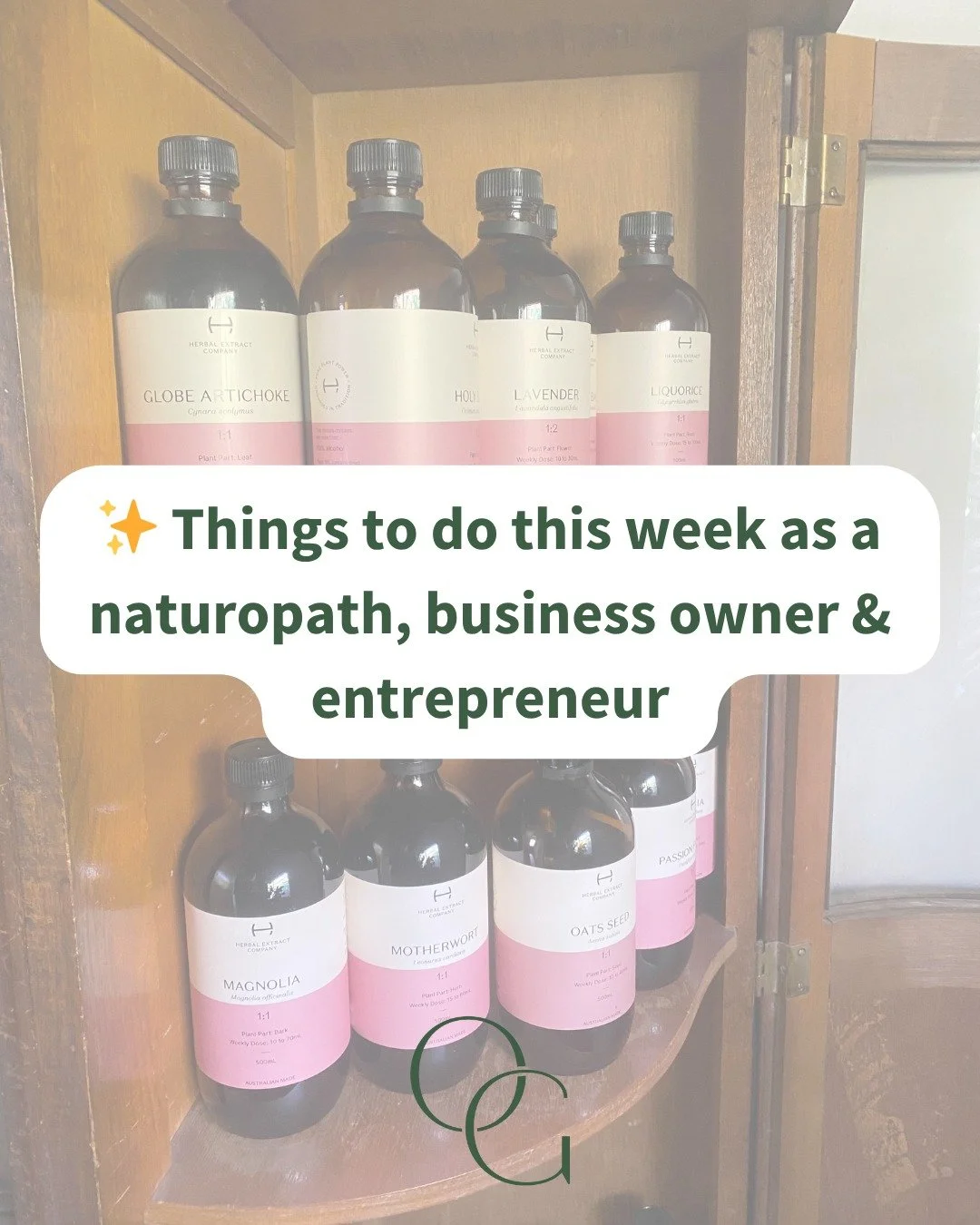 ✨ Running a naturopathy business looks a little like&hellip; writing wellness plans one minute and fixing tech automations the next 😅

I love the variety, the creative chaos, and the constant learning that comes with being a naturopath, educator, an