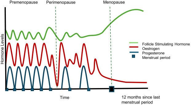 Hormone changes in perimenopause