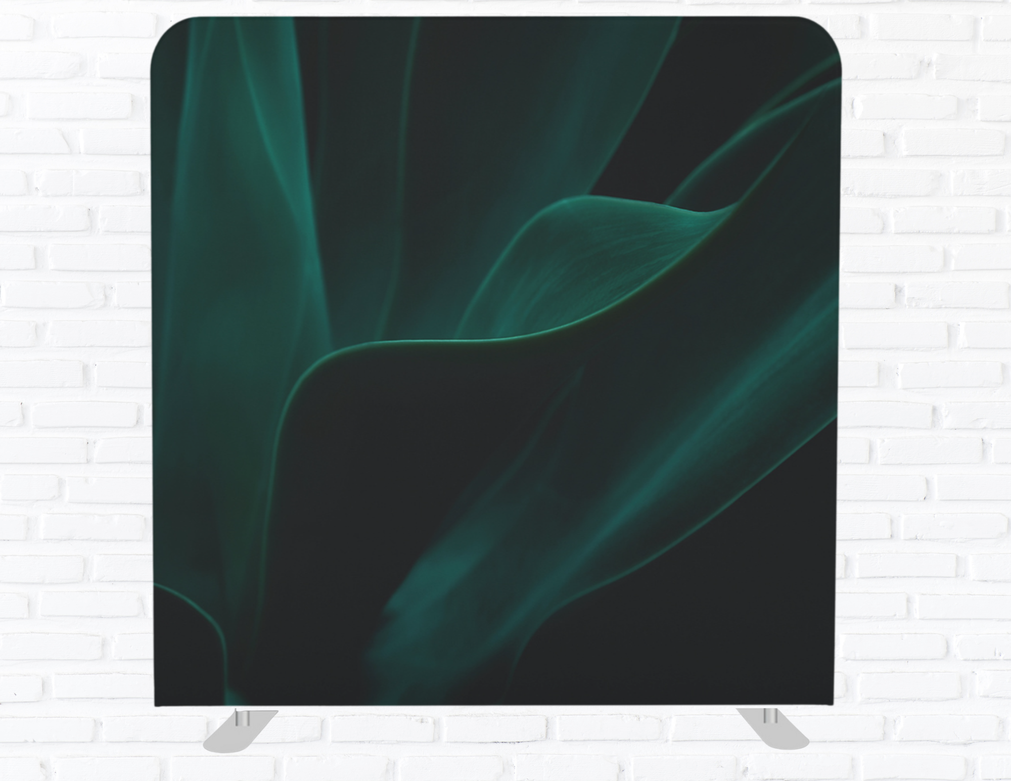 Moody Deep Green Backdrop