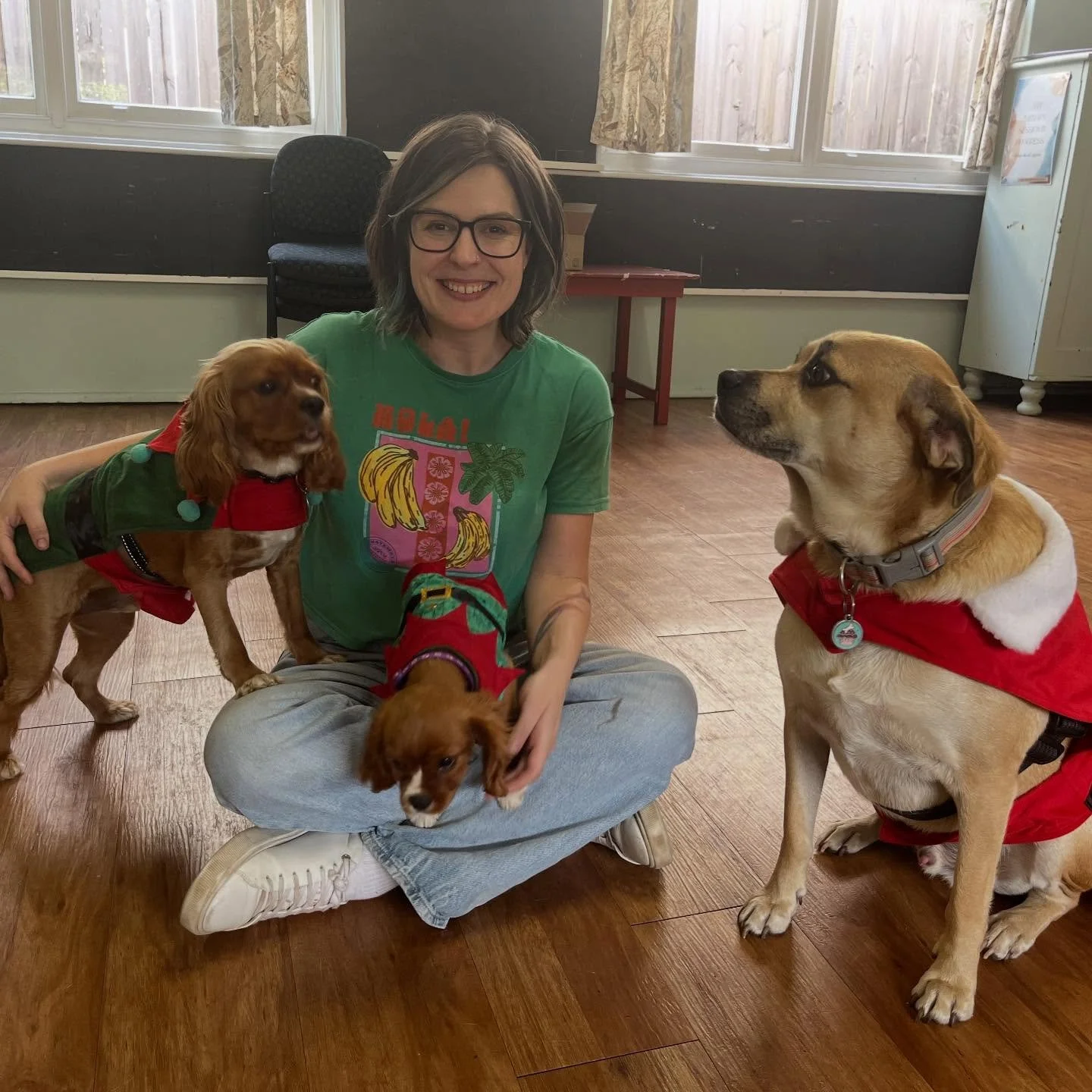 Merry Christmas from the whole IWAT gang - Emily, Crumpet, Toast and holiday intern Purple (Toast&rsquo;s baby sister who is heading to her forever family tomorrow!) See you all for more art making and singing in 2026 🌟