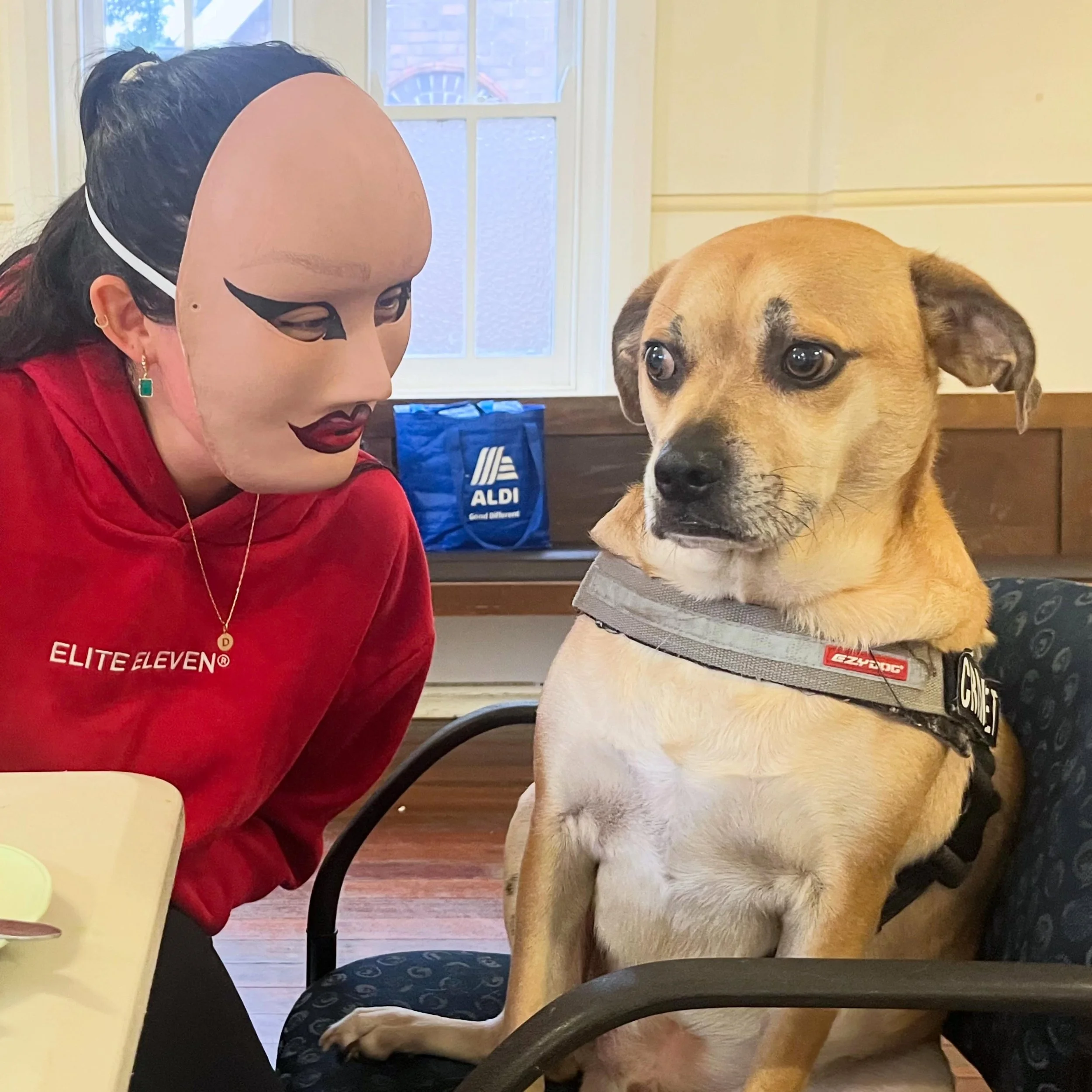 Crumpet might need to take a personal day the next time mask making is on the agenda #arttherapy #therapydog #therapydogintraining