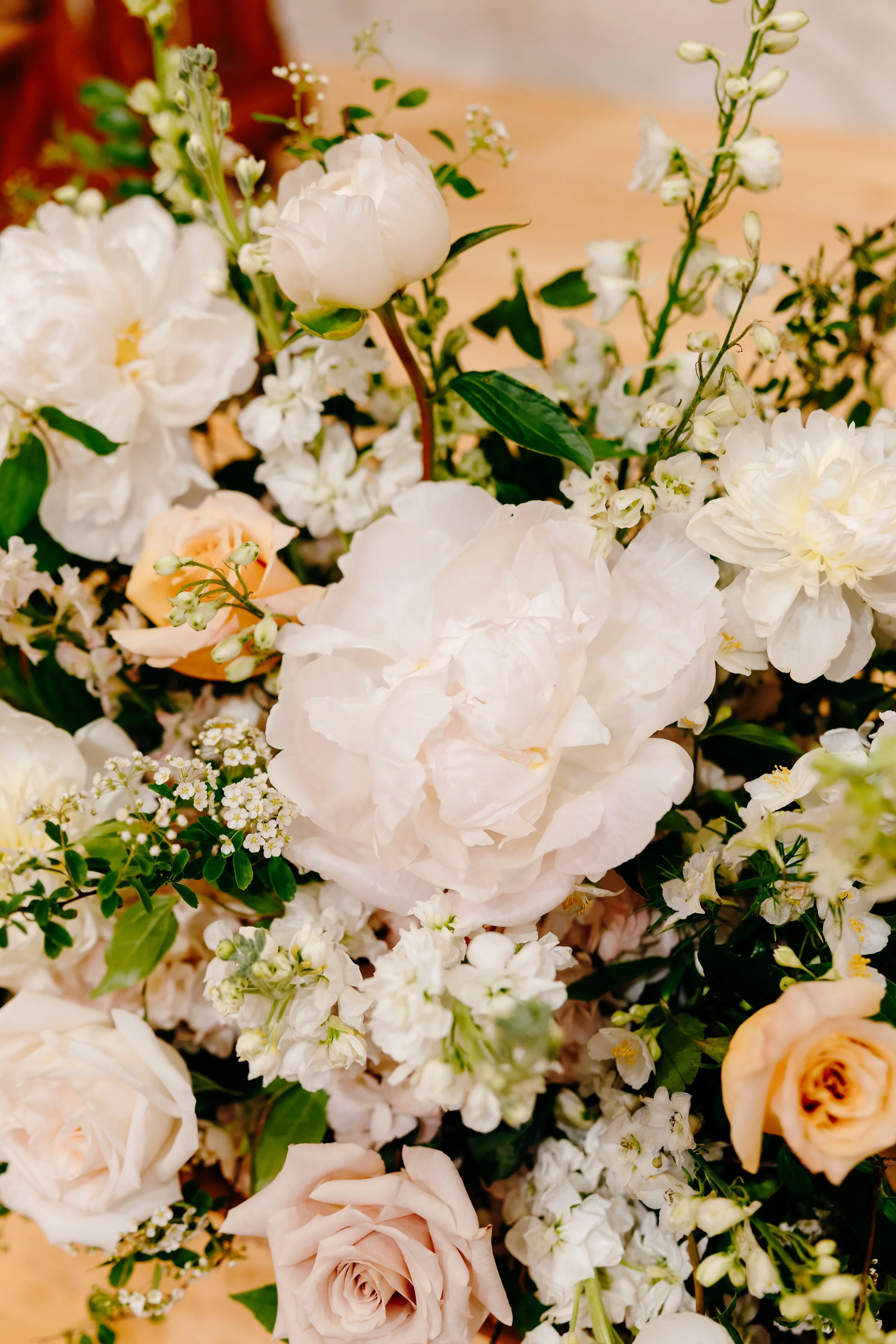 Christina Ney Photography