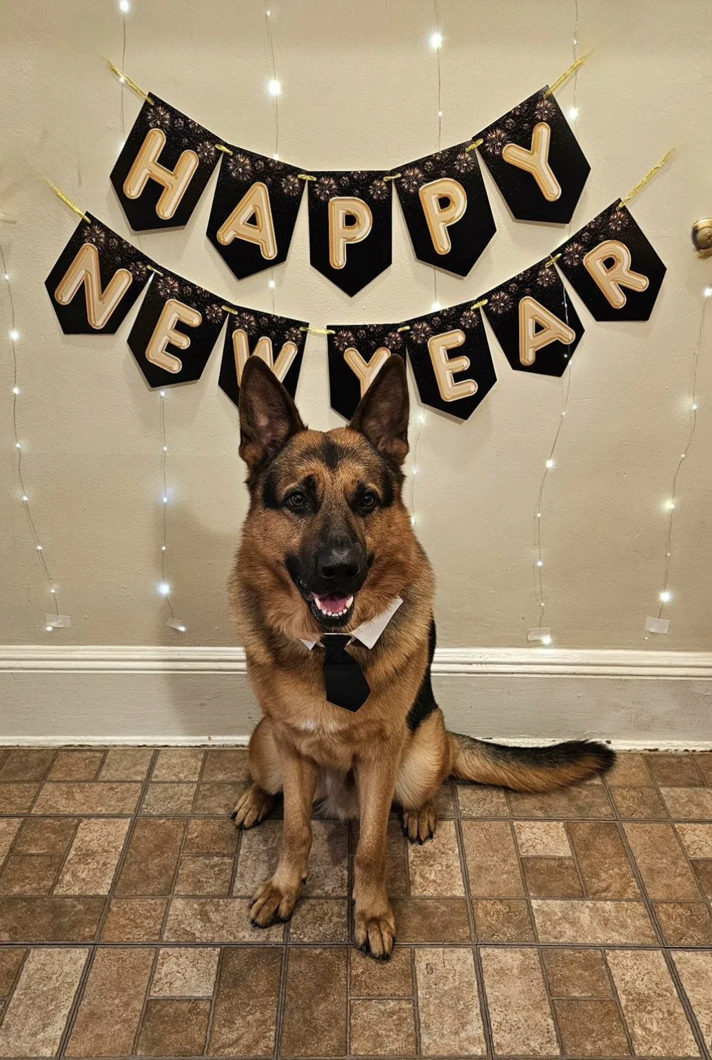 image_6487327 (1).JPG