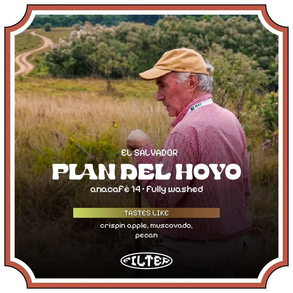 Plan del Hoyo (Filter)