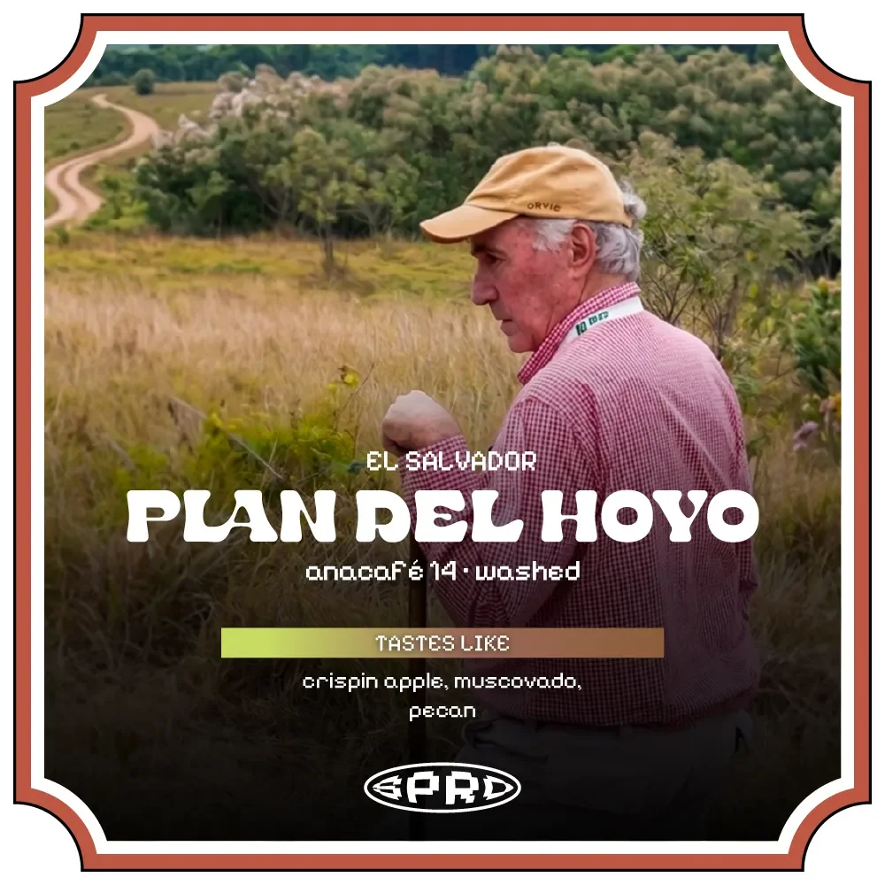 Plan del Hoyo
