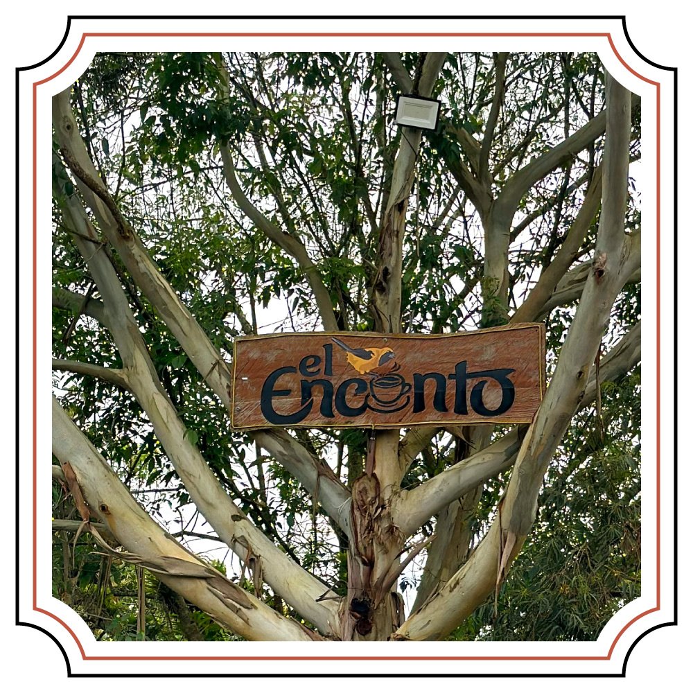 encanto_04.jpg