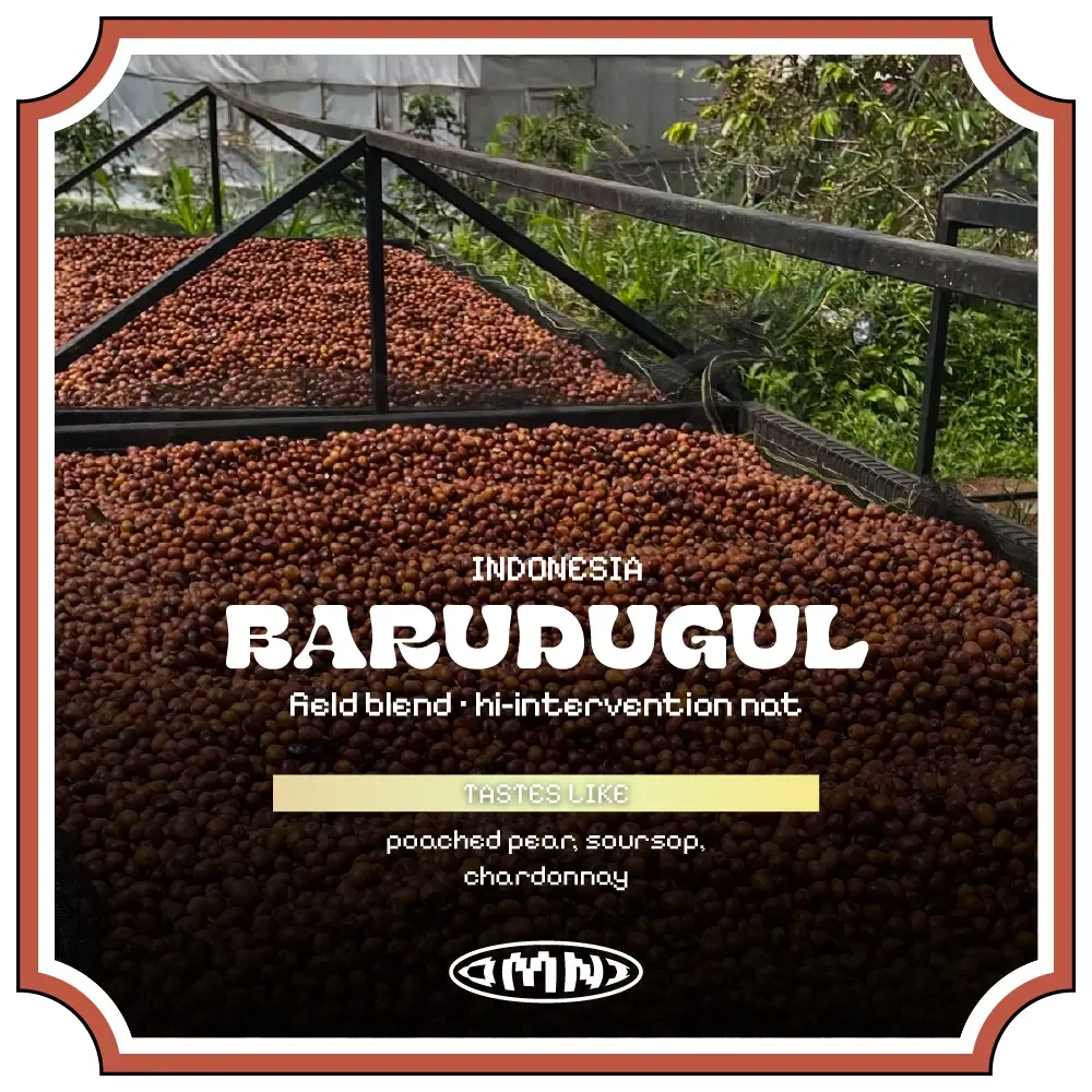 Barudugul #DRFN-P07.08