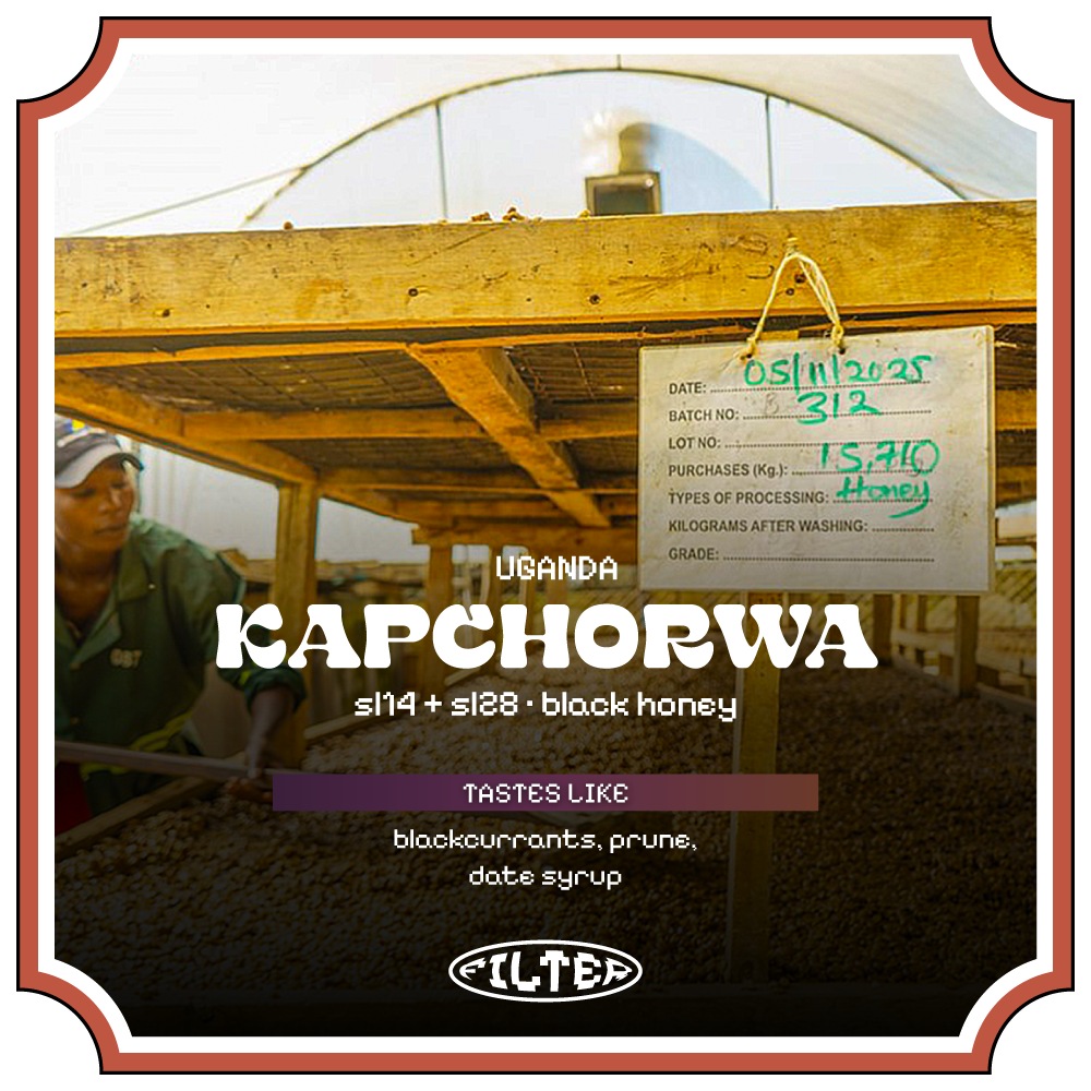 kcw_00.webp