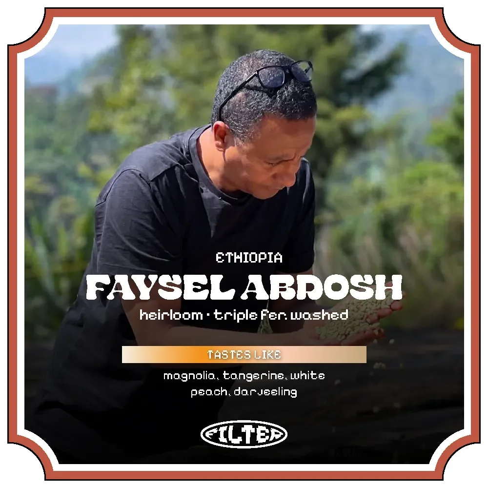 Testi\Faysel Abdosh Project