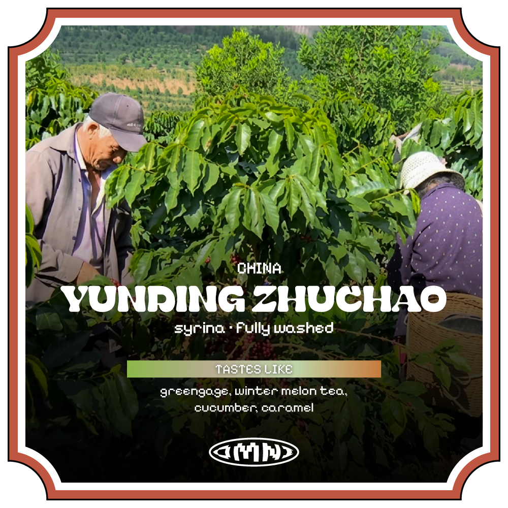 ydzc26_00.webp