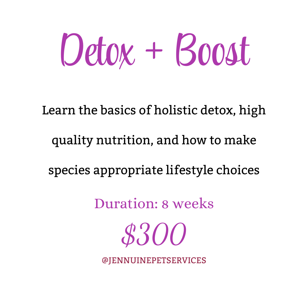 Detox + Boost Program